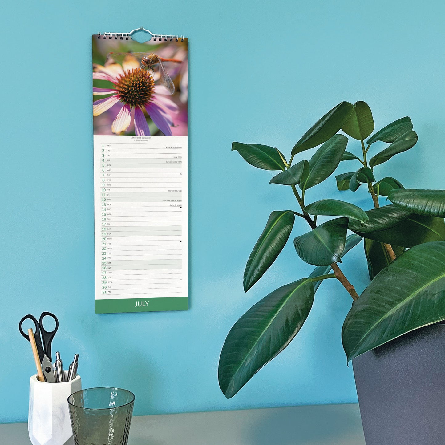 Royal Botanic Gardens Kew in Colour Slim Calendar 2026