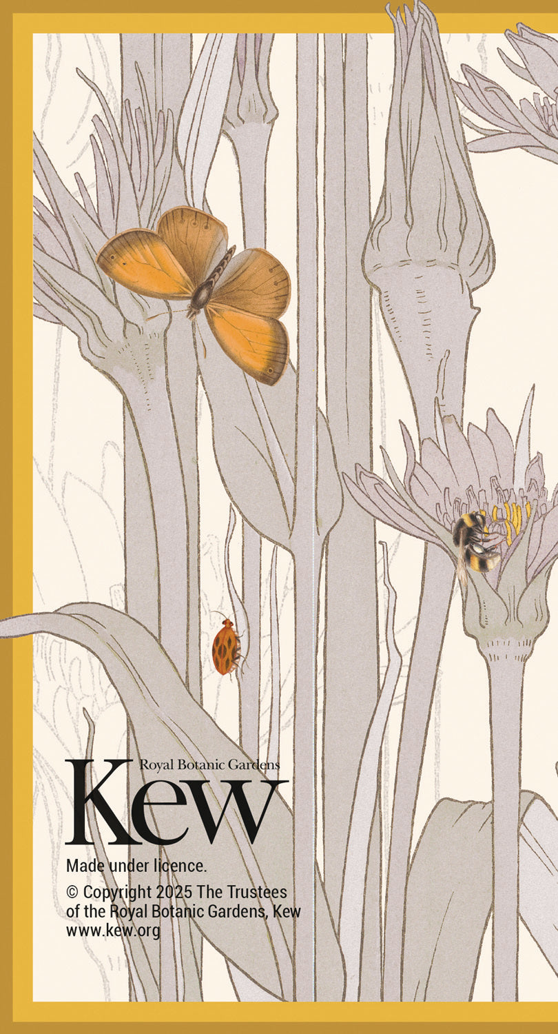 Royal Botanic Gardens Kew Slim Dlx Diary 2026