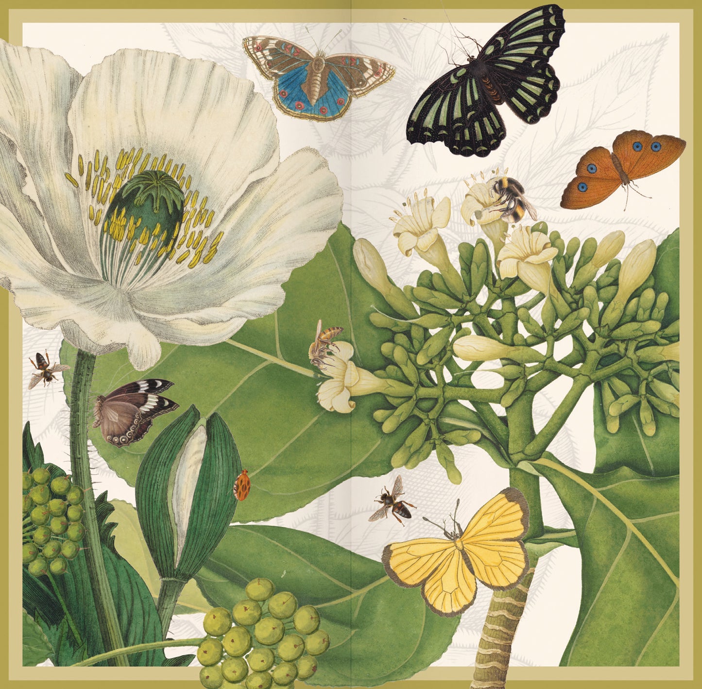 Royal Botanic Gardens Kew Slim Dlx Diary 2026