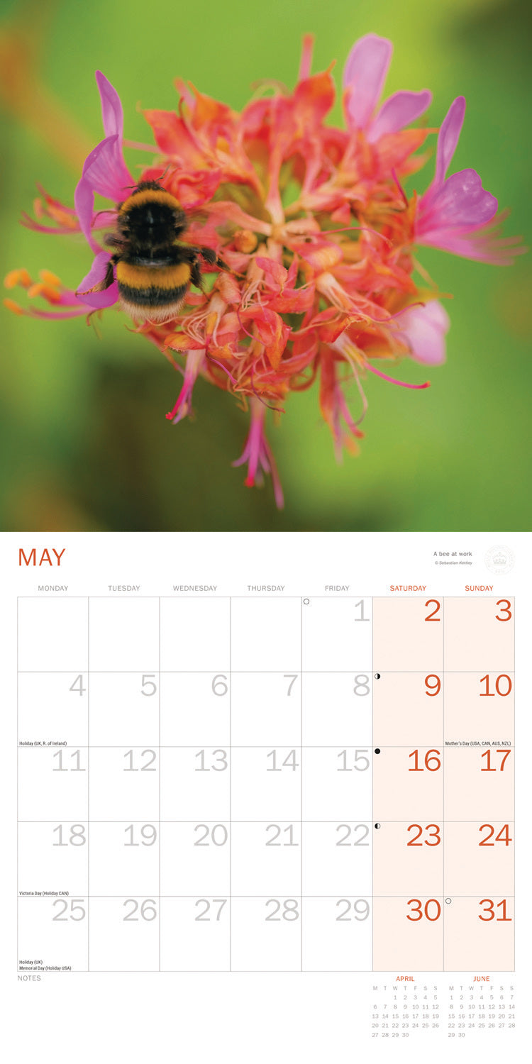 Royal Botanic Gardens Kew, Kew in Colour Wall Calendar 2026