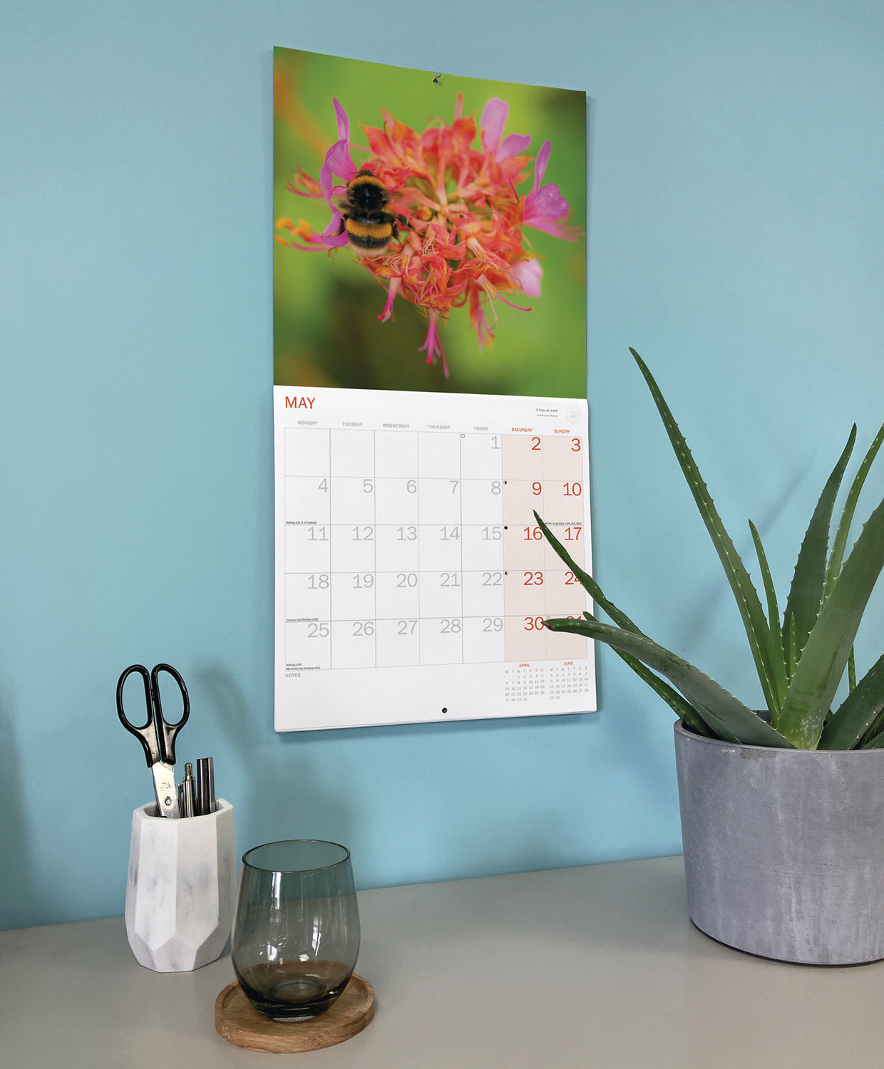 Royal Botanic Gardens Kew, Kew in Colour Wall Calendar 2026