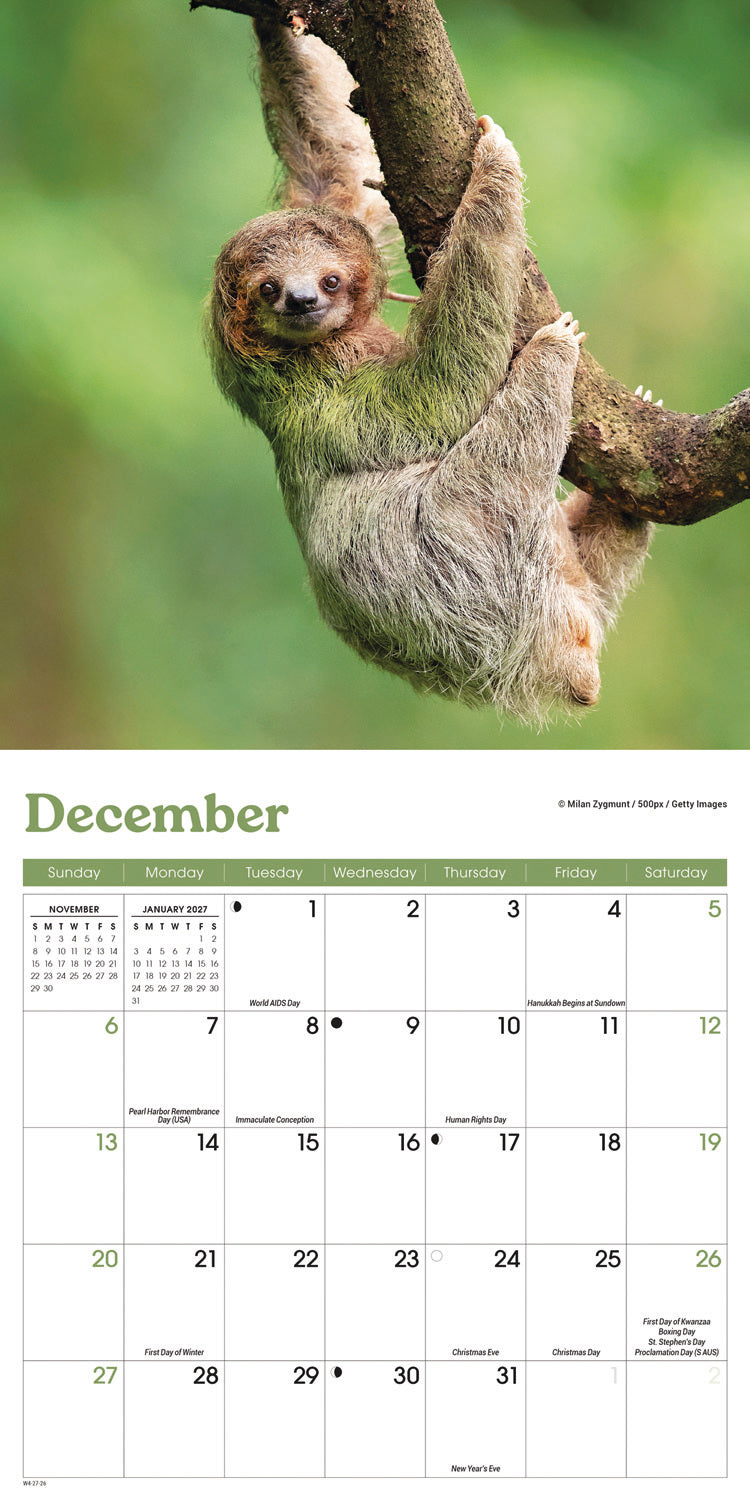 Sloths M (Sunday Start) Calendar 2026
