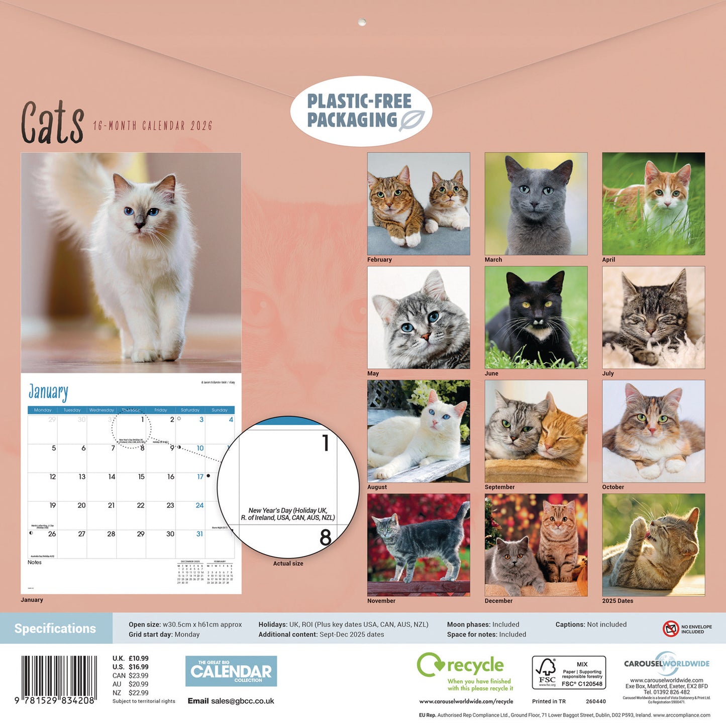 Cats Wall Calendar 2026