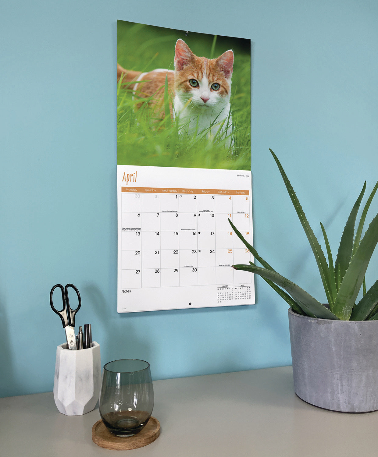 Cats Wall Calendar 2026