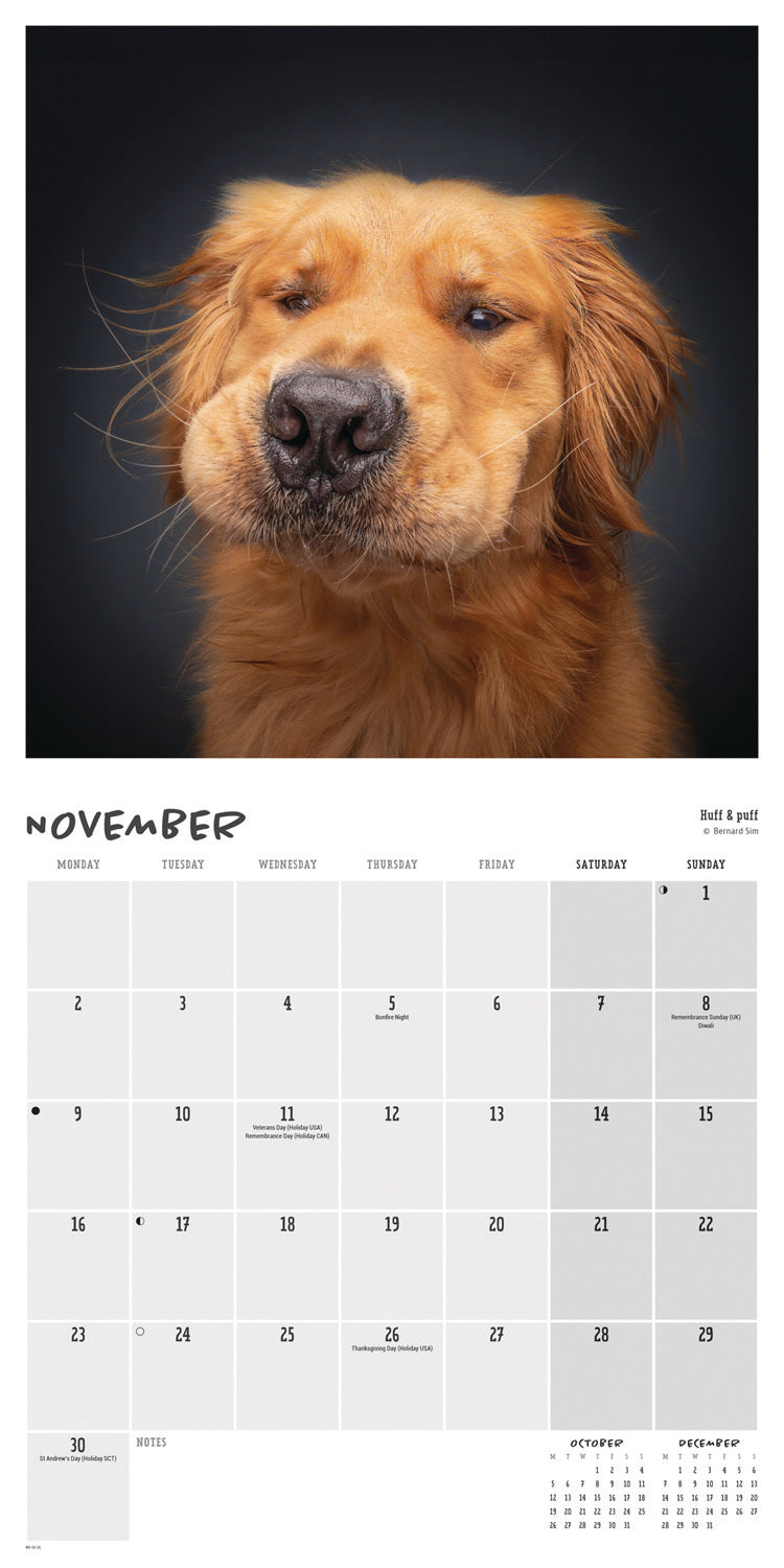Comedy Pet Photography Awards Wall Calendar 2026