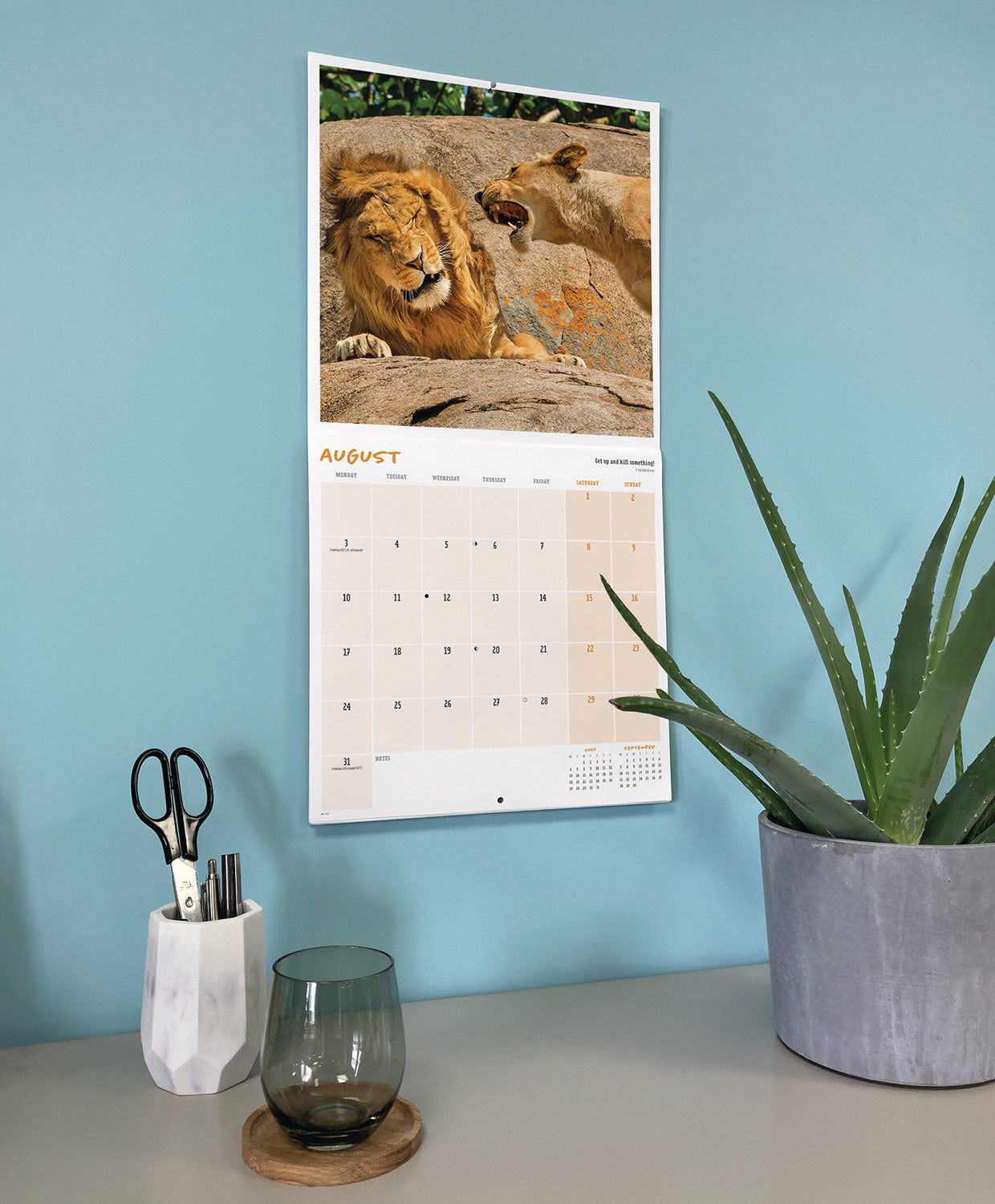 Comedy Wildlife Photography Awards Wall Calendar 2026