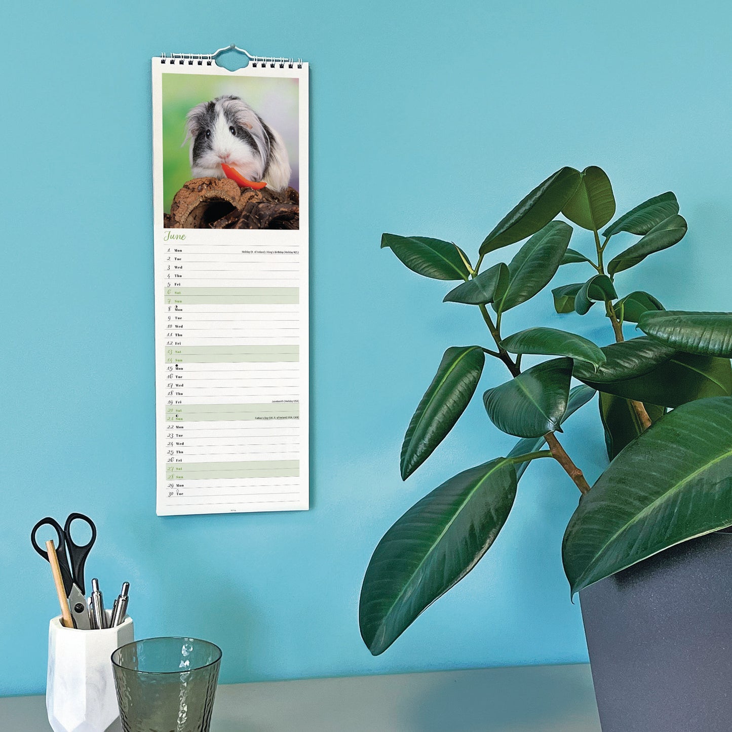 Guinea Pigs Slim Calendar 2026