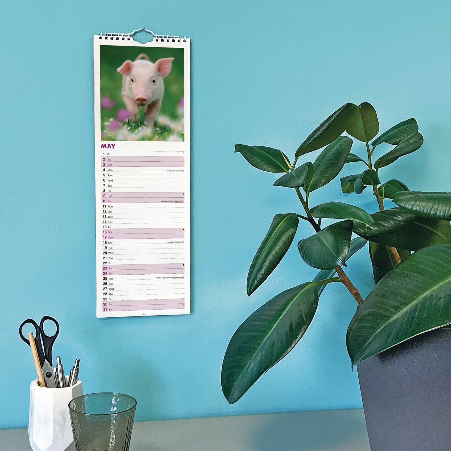 Pigs Slim Calendar 2026