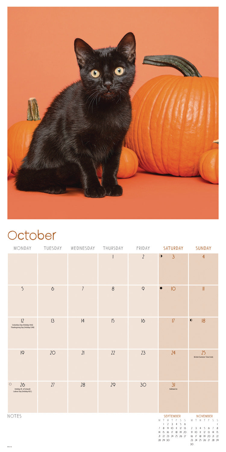 Black Cats Wall Calendar 2026