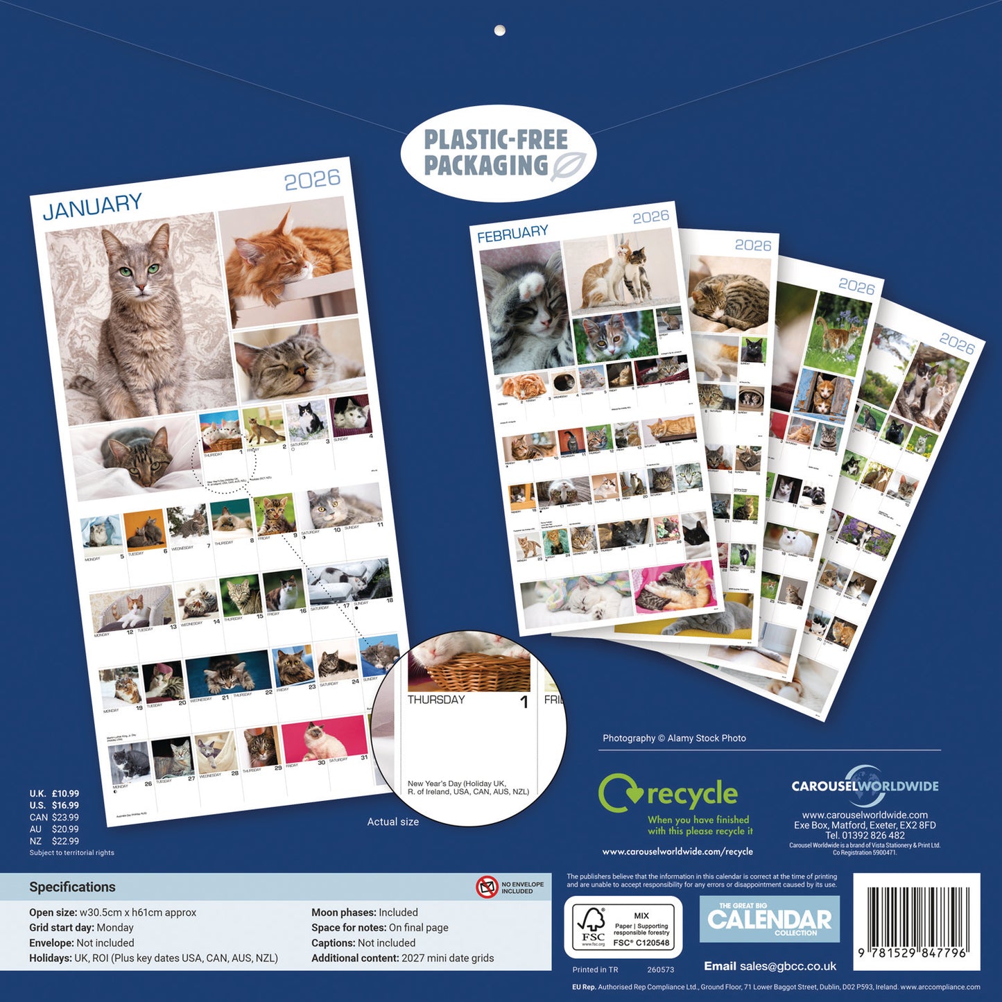 Cats 365 Days Wall Calendar 2026