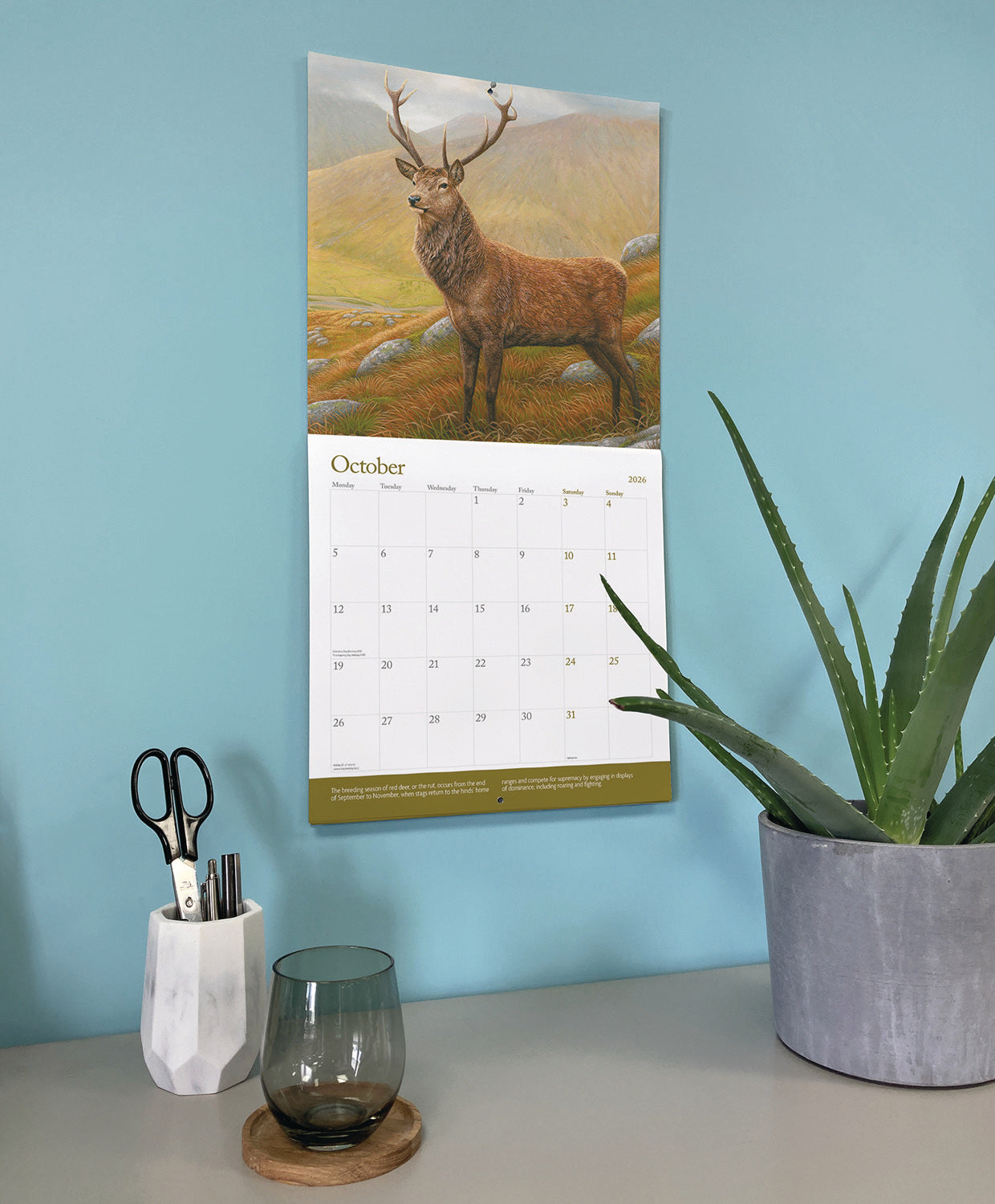 British Wildlife in Art by Robert Fuller Wall Calendar 2026