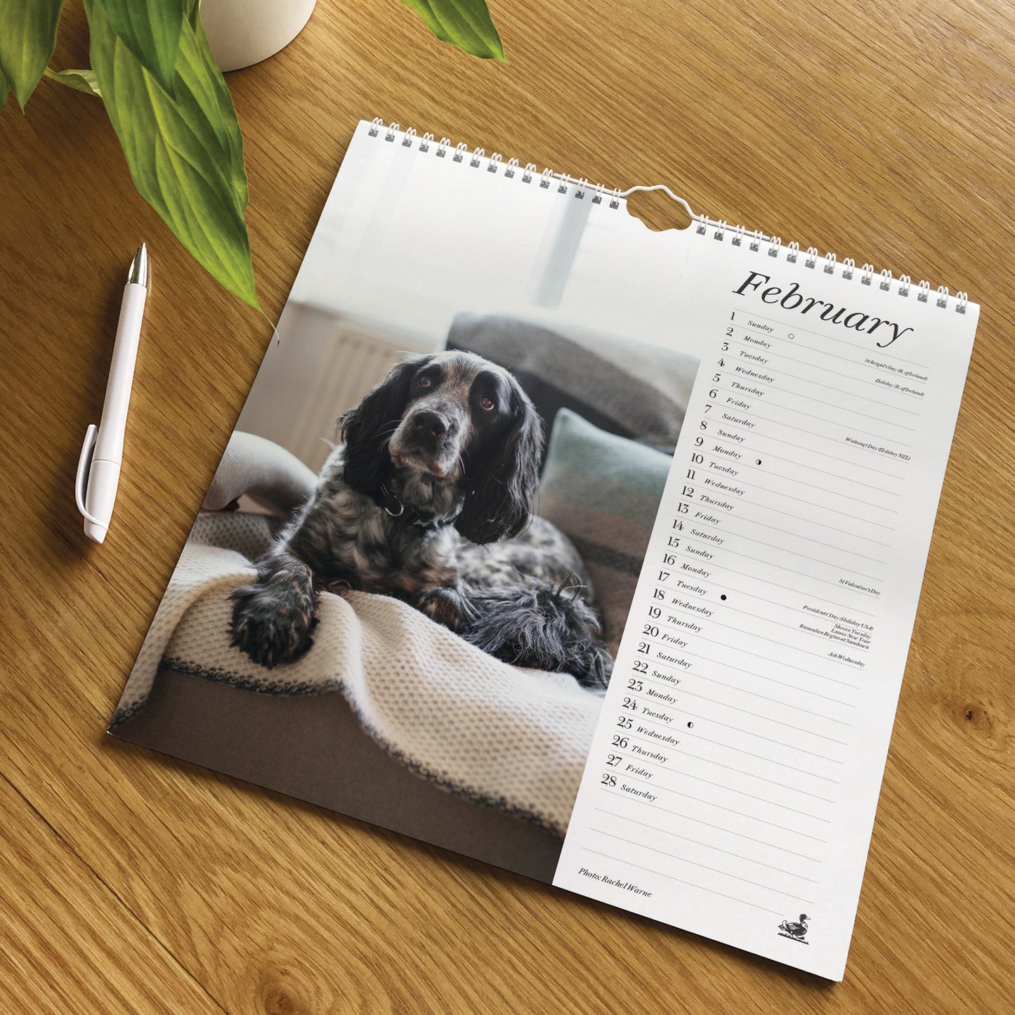 Country Living Wiro Wall Calendar 2026