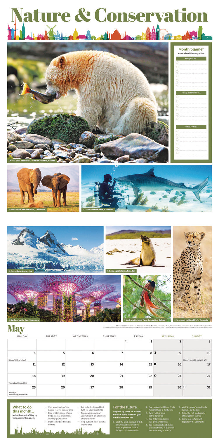 My Ultimate List Wall Calendar 2026