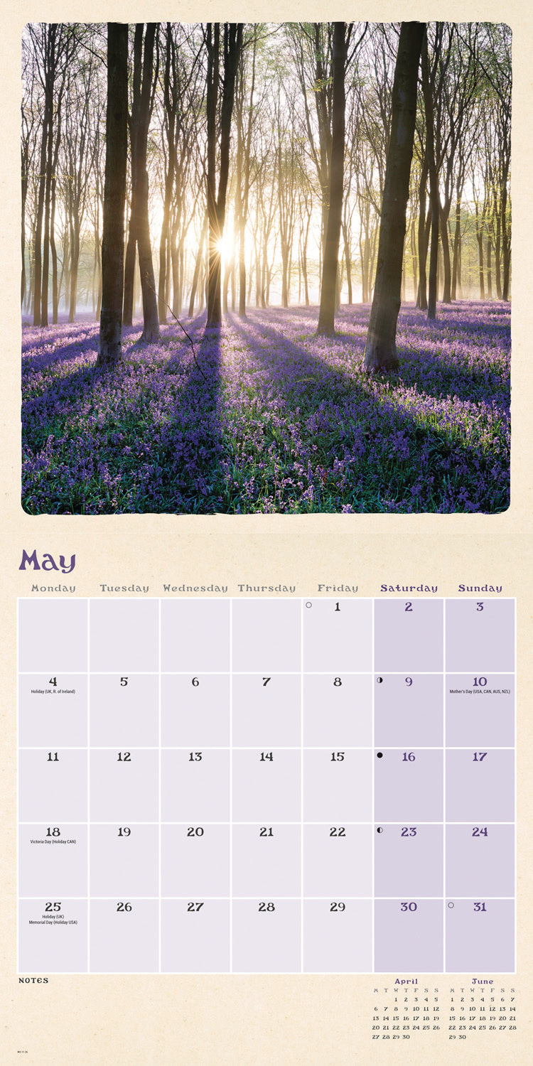 Scenic Woodland Wall Calendar 2026