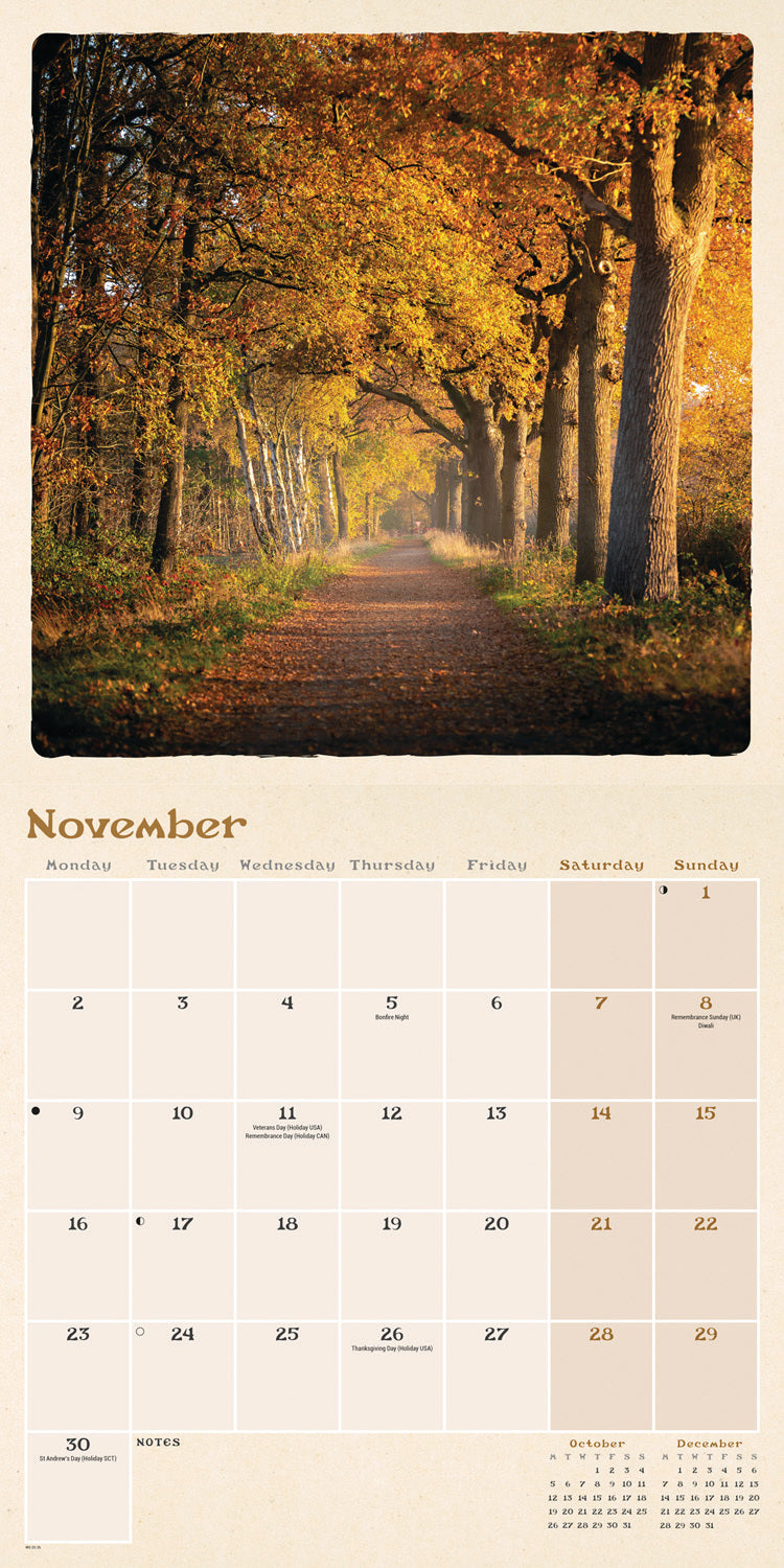 Scenic Woodland Wall Calendar 2026