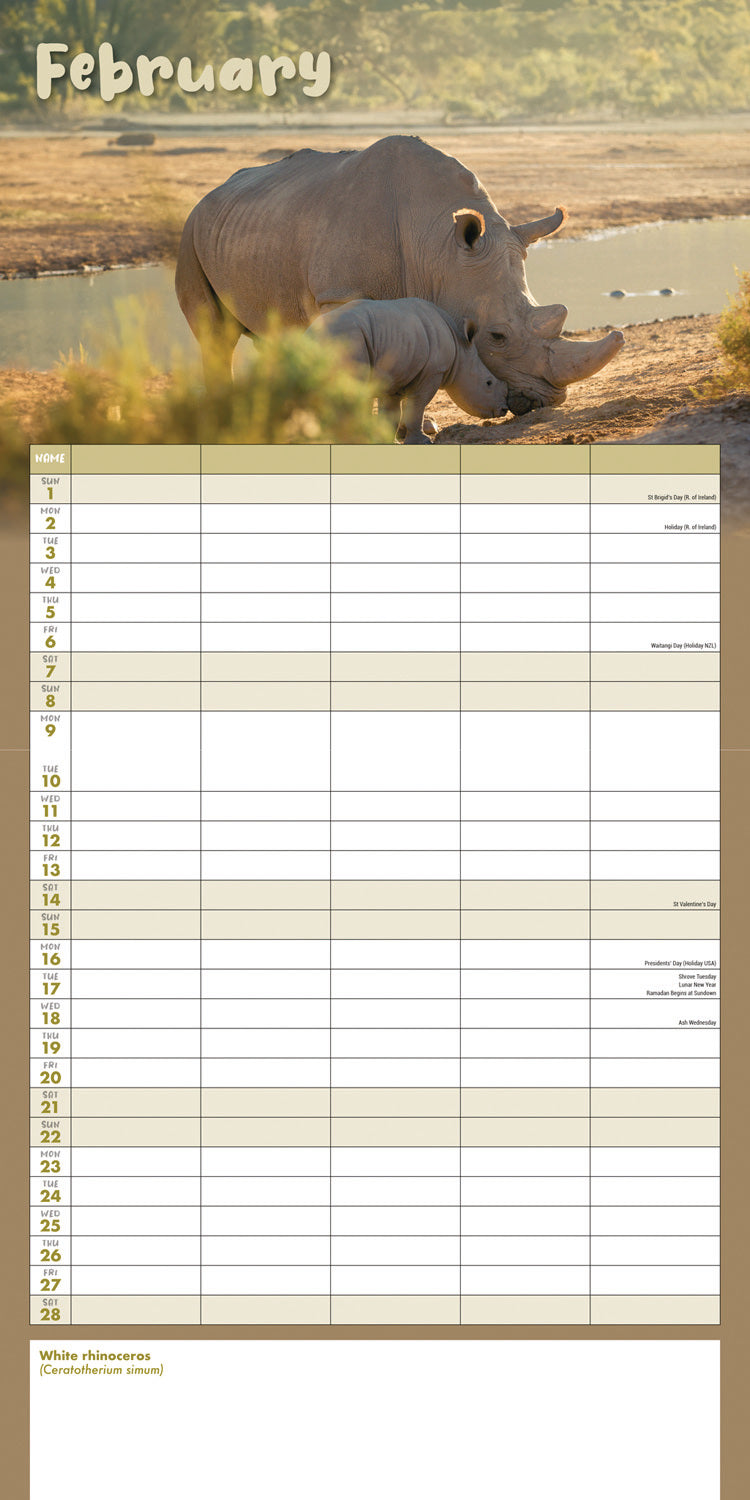 Busy Life Planner Wall Calendar 2026