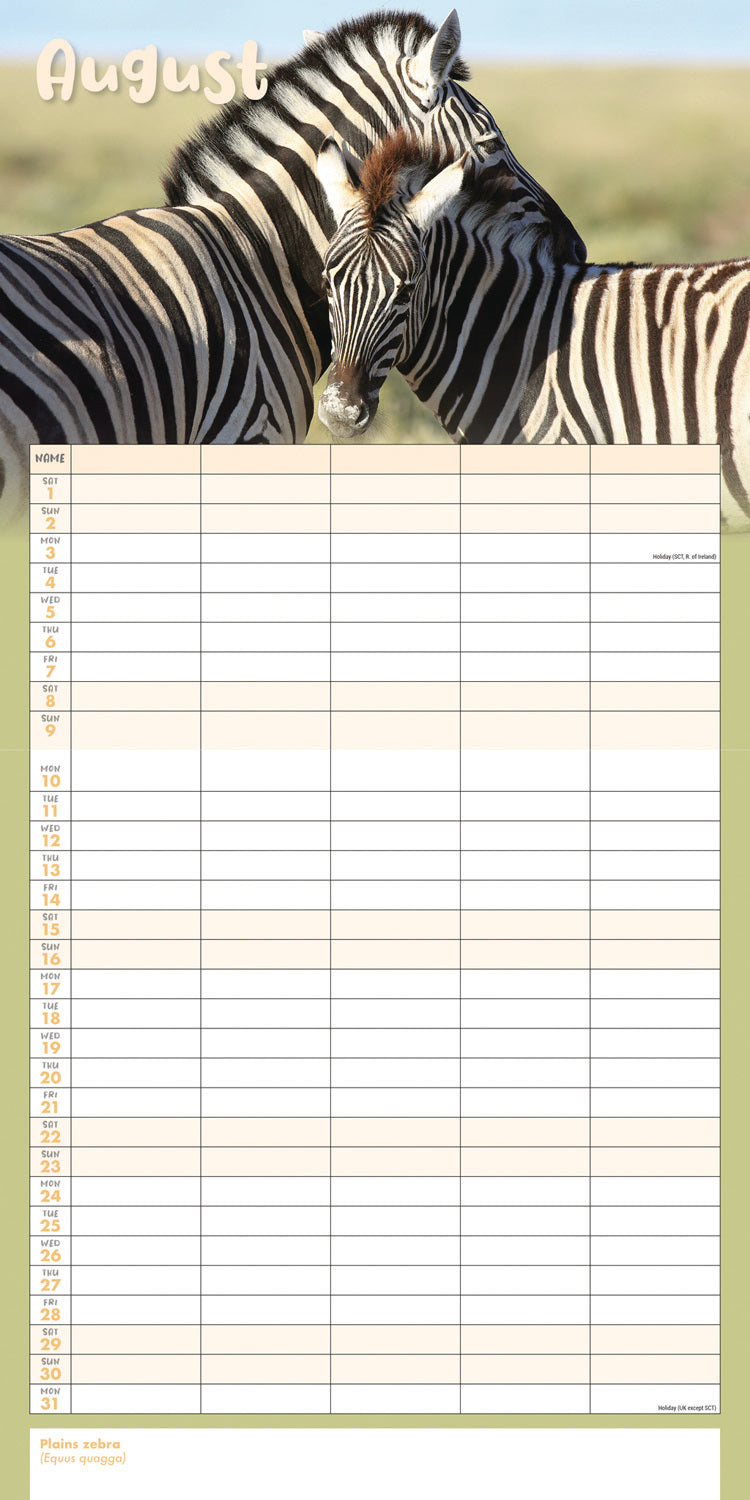 Busy Life Planner Wall Calendar 2026