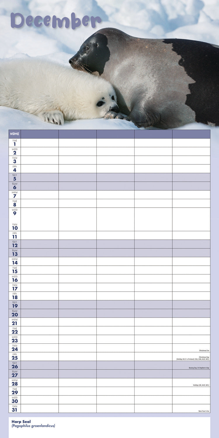 Busy Life Planner Wall Calendar 2026