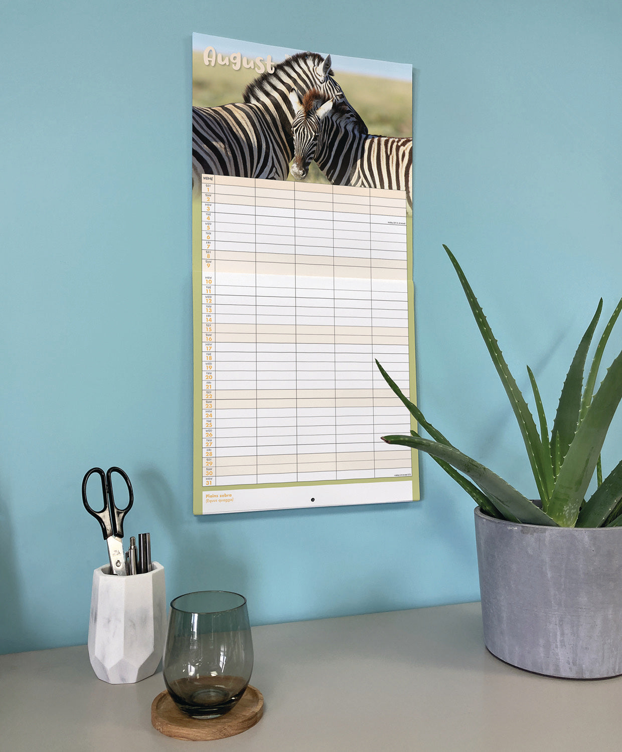 Busy Life Planner Wall Calendar 2026