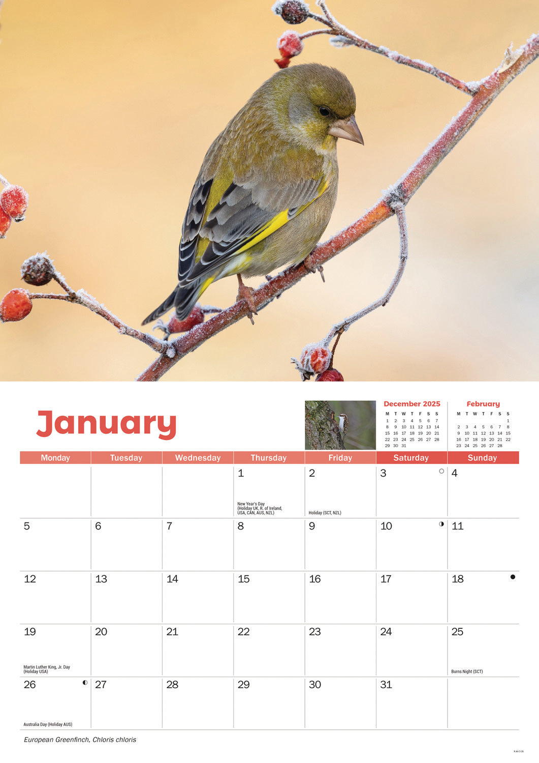 Garden Birds A4 calendar 2026