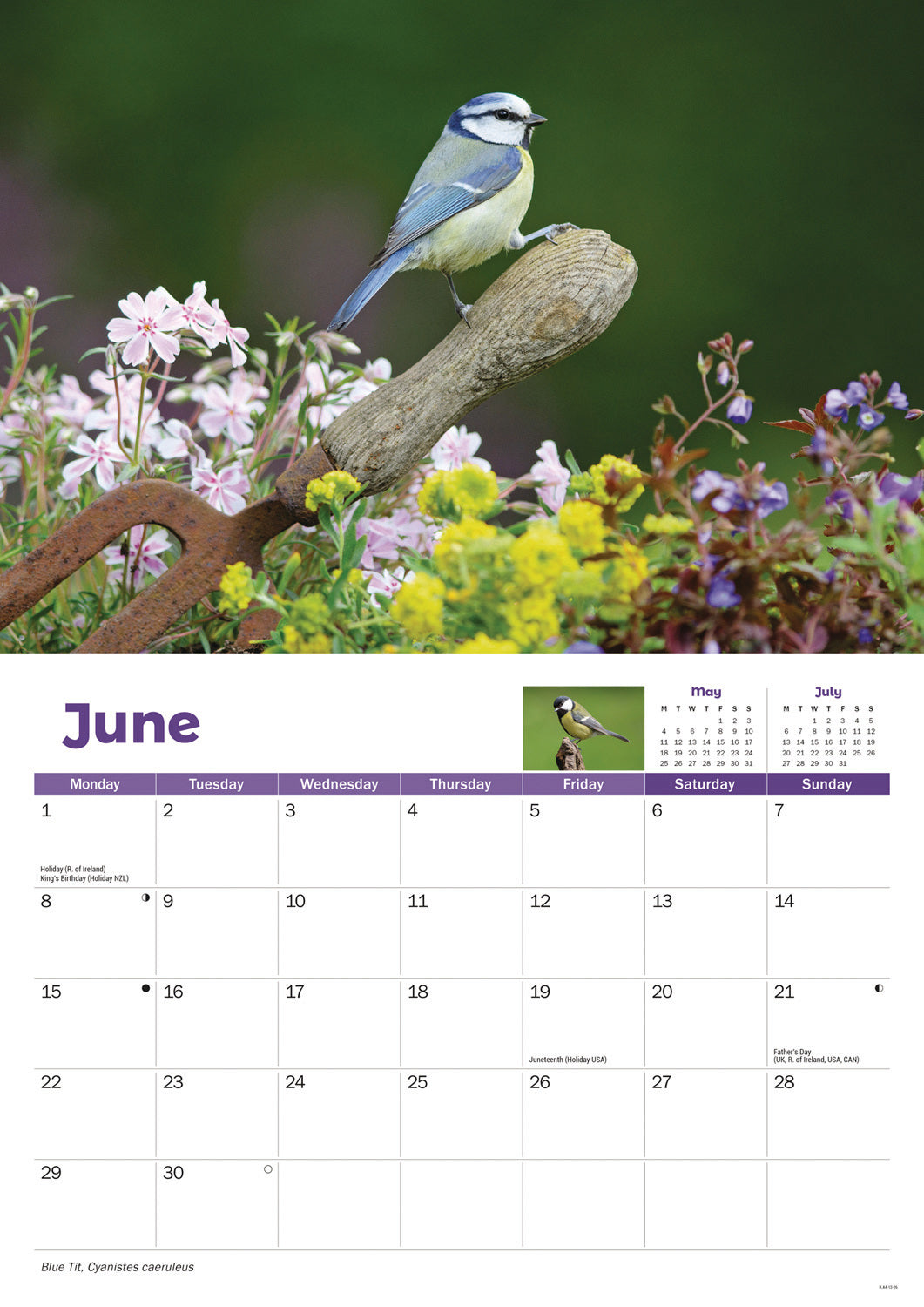 Garden Birds A4 calendar 2026