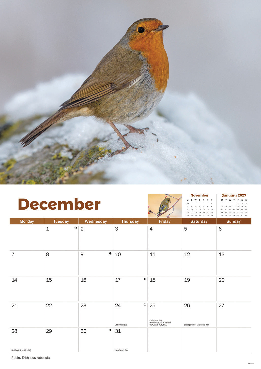 Garden Birds A4 calendar 2026