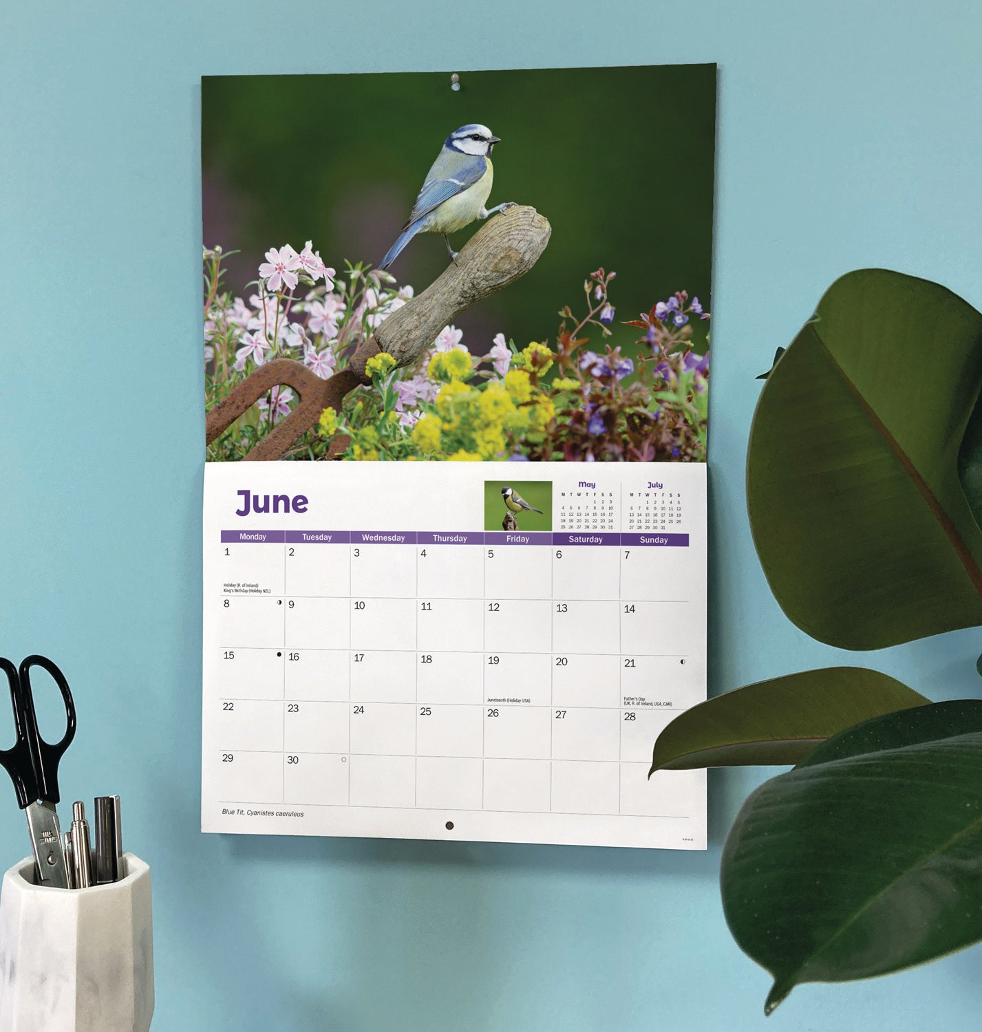 Garden Birds A4 calendar 2026