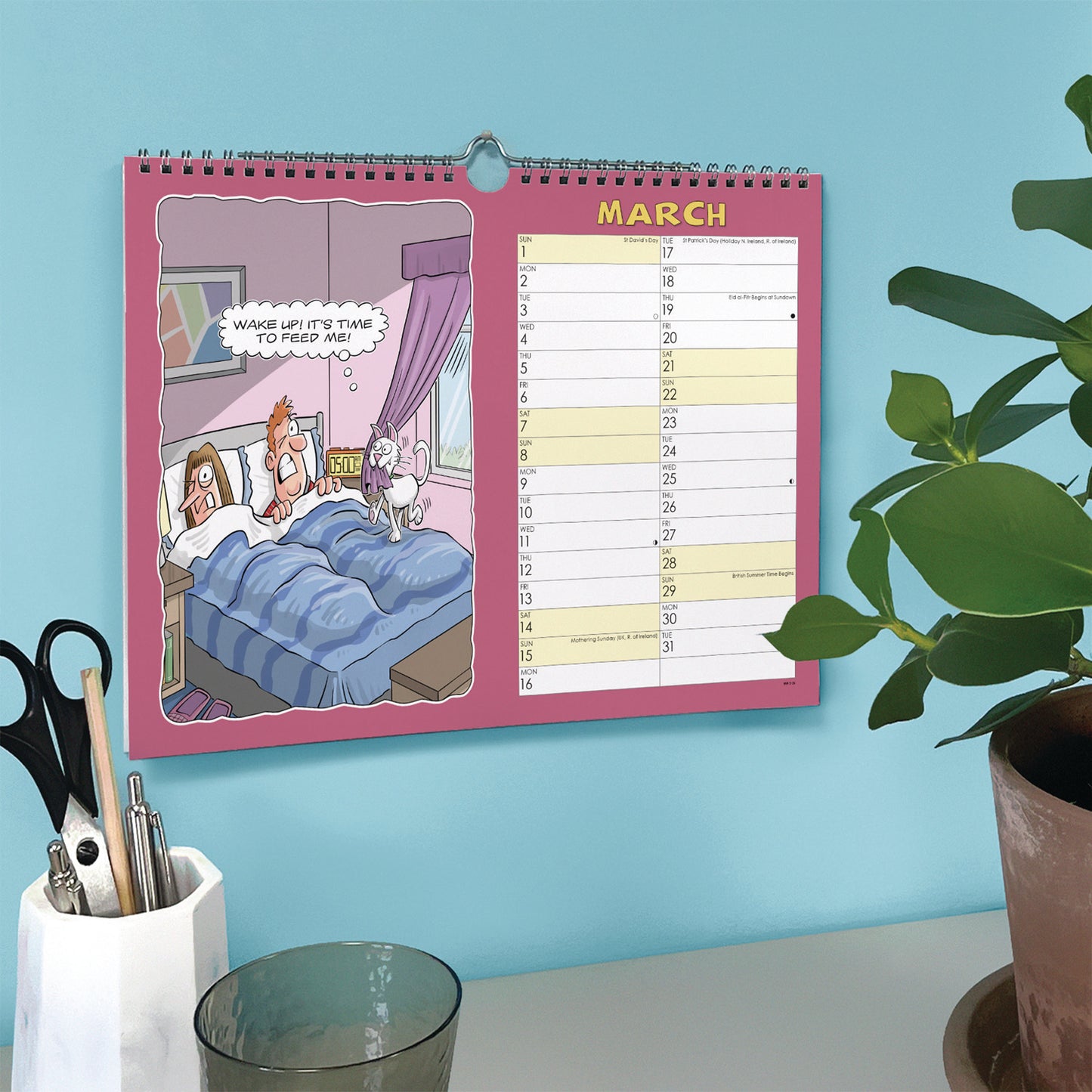Cats, Wacky World A4 Calendar 2026