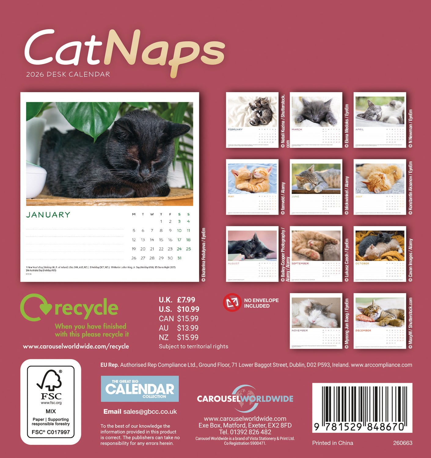 Cat Naps Easel Calendar 2026