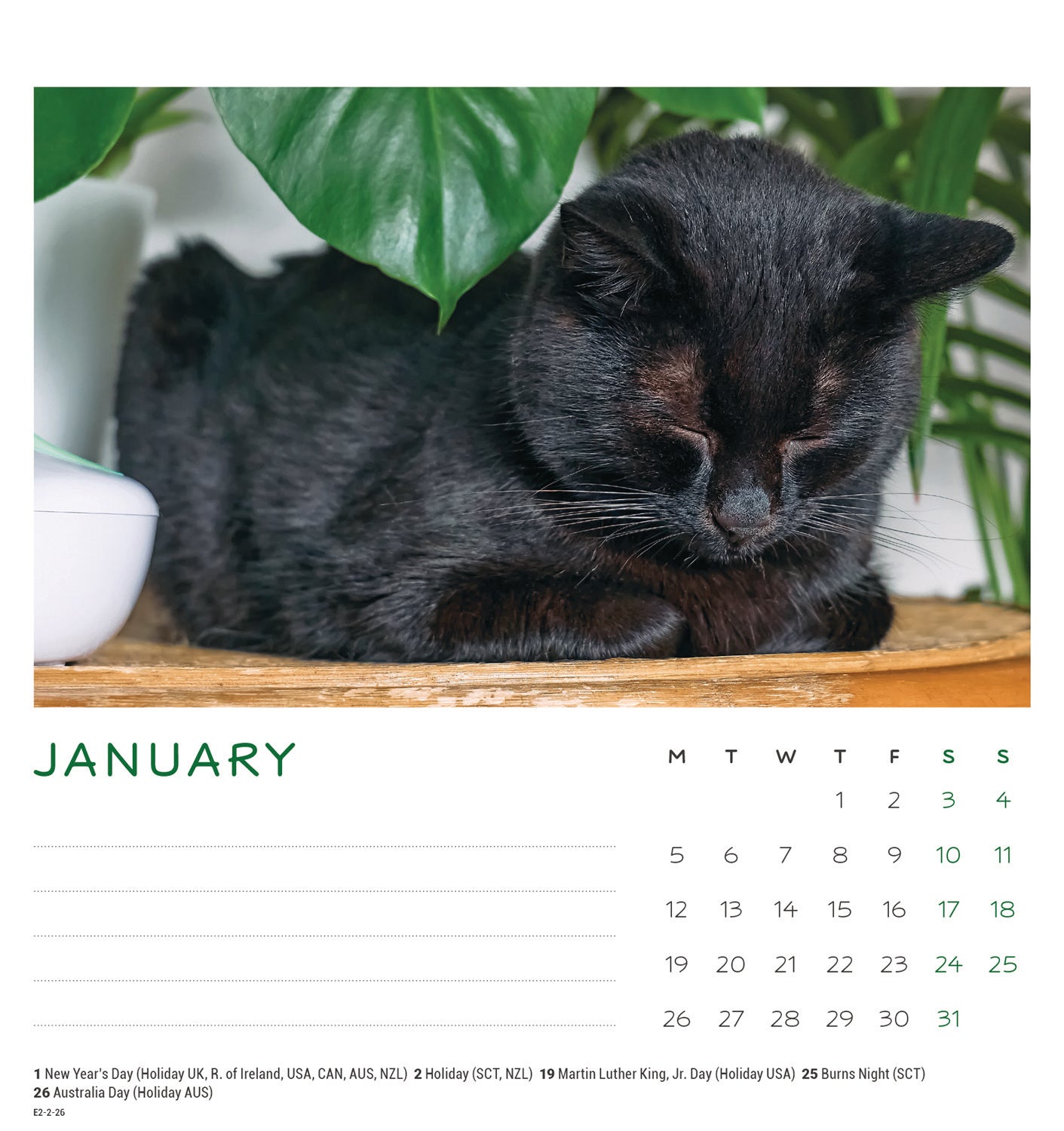 Cat Naps Easel Calendar 2026