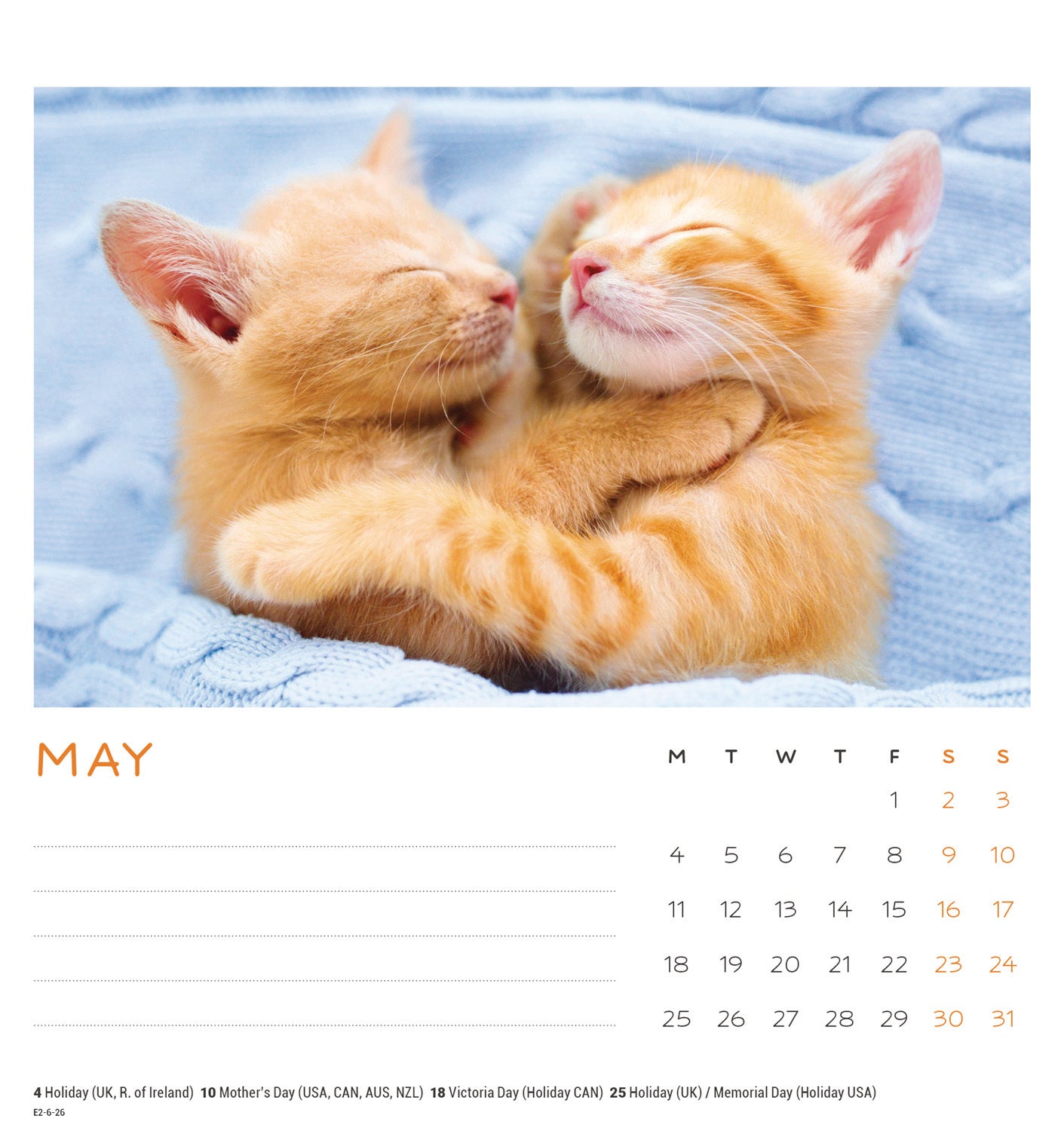Cat Naps Easel Calendar 2026