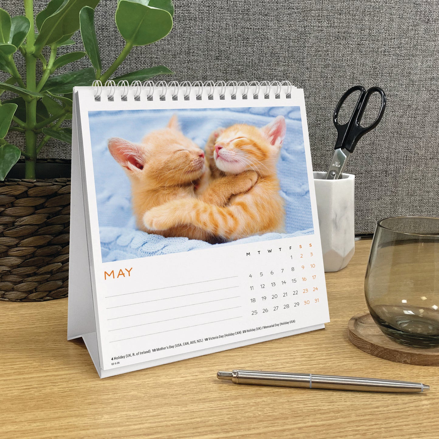 Cat Naps Easel Calendar 2026