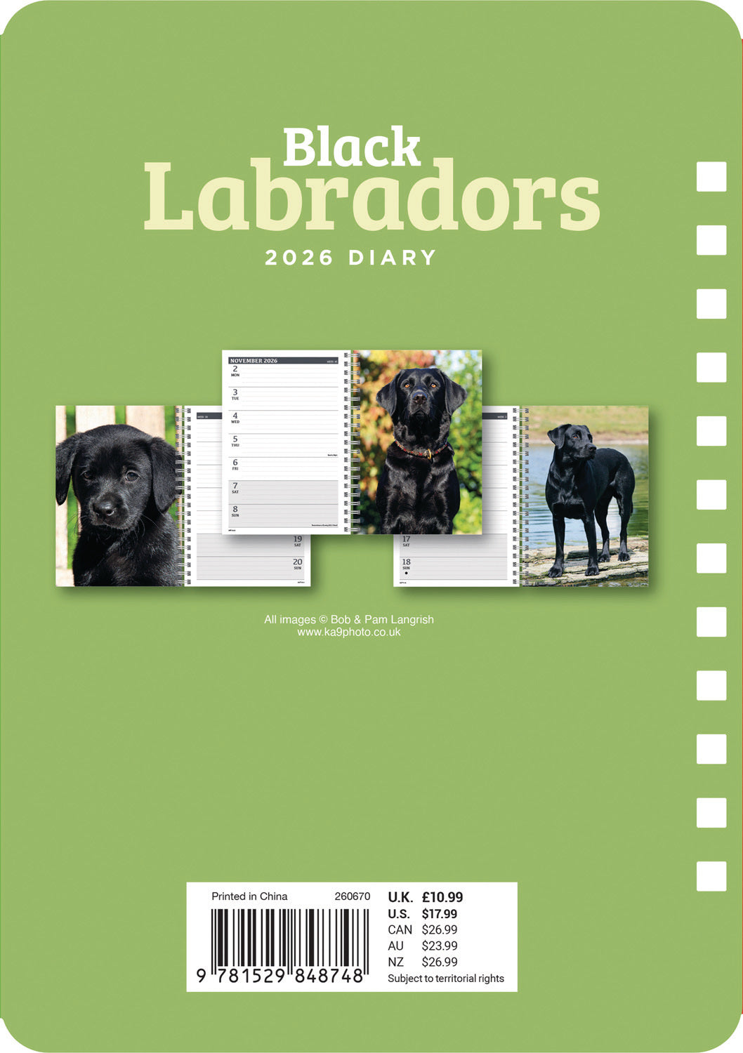 Labrador Retrievers Black A5 Wiro Diary 2026