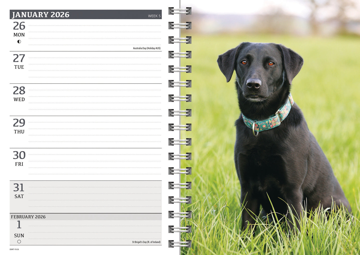 Labrador Retrievers Black A5 Wiro Diary 2026