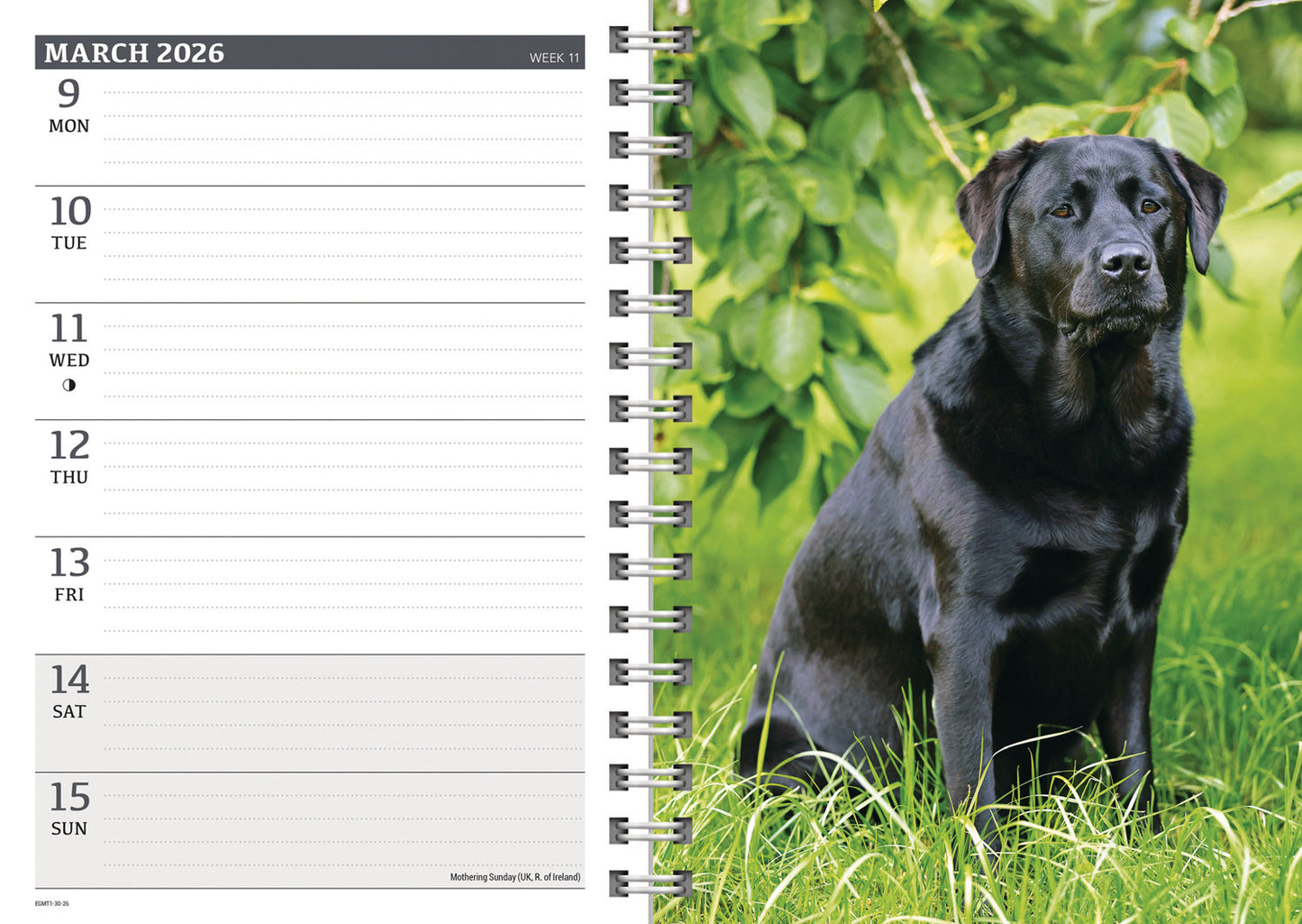 Labrador Retrievers Black A5 Wiro Diary 2026