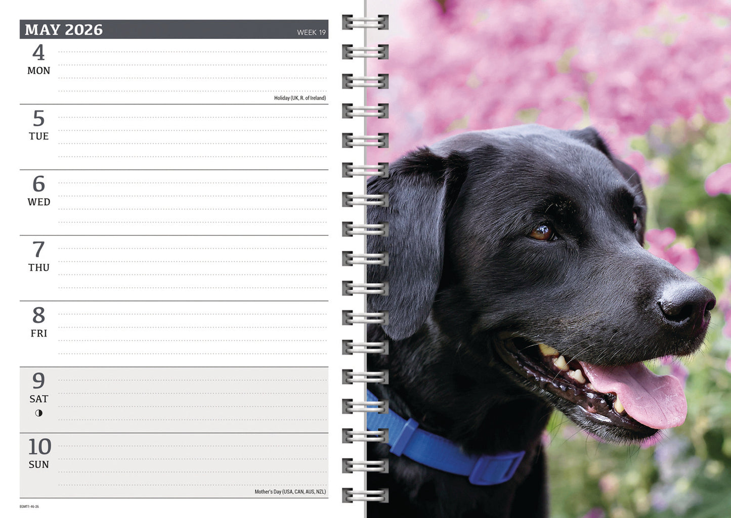 Labrador Retrievers Black A5 Wiro Diary 2026