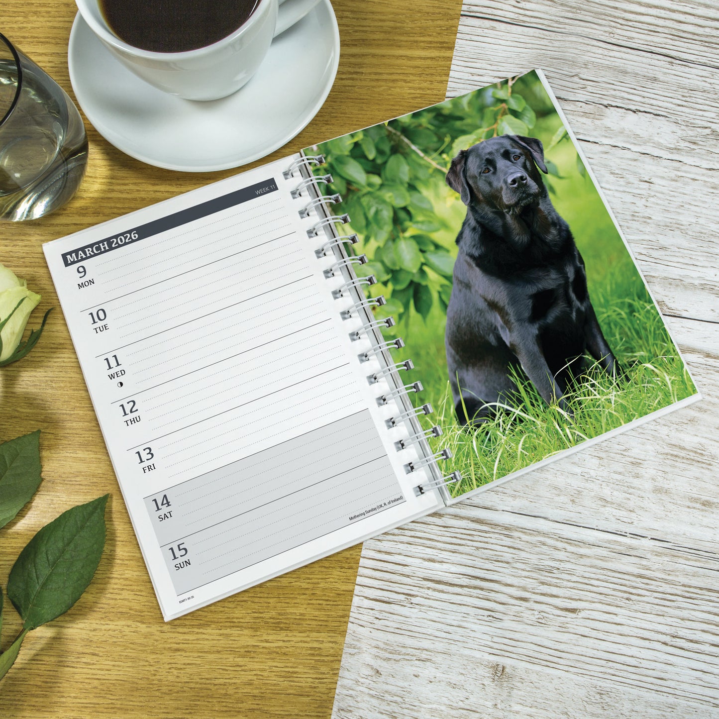 Labrador Retrievers Black A5 Wiro Diary 2026
