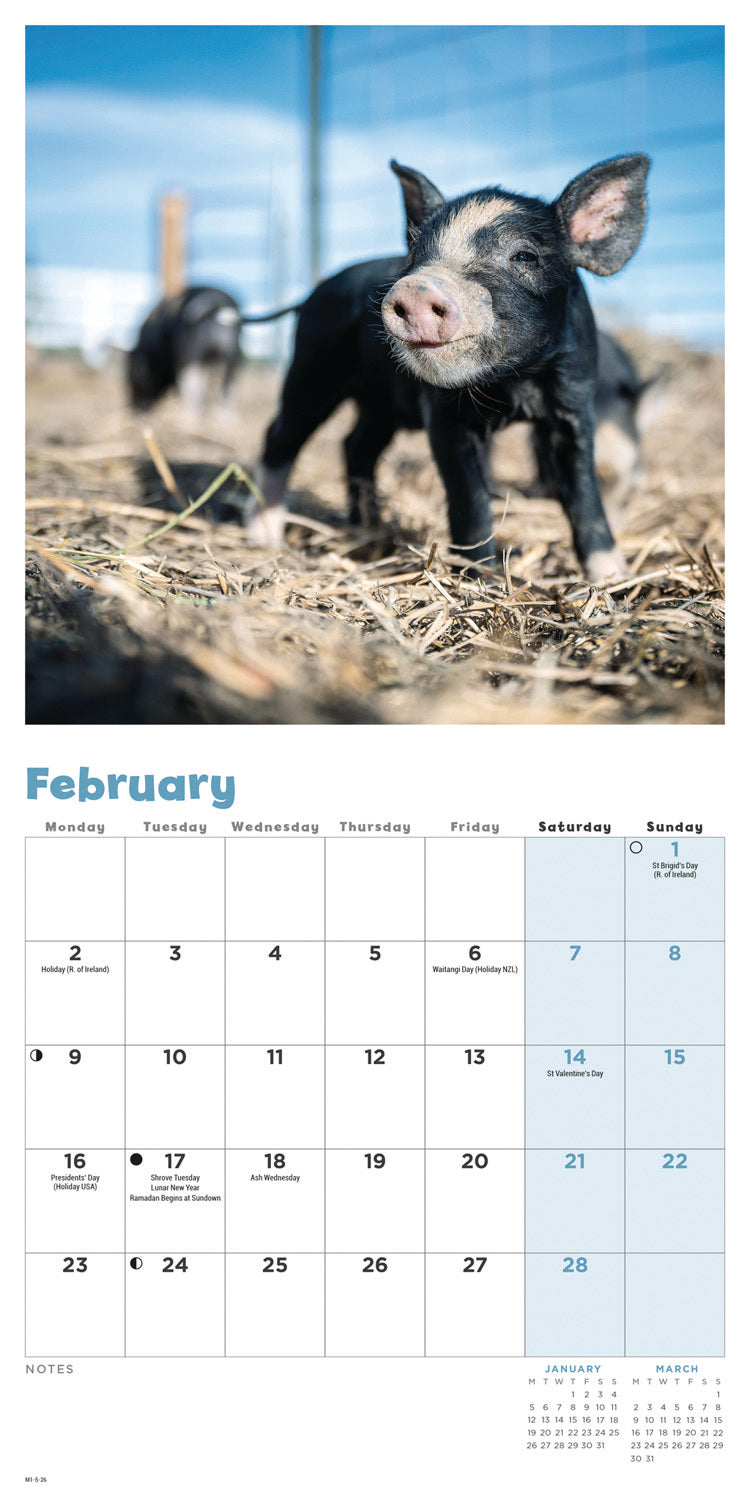 Piglets Mini Calendar 2026
