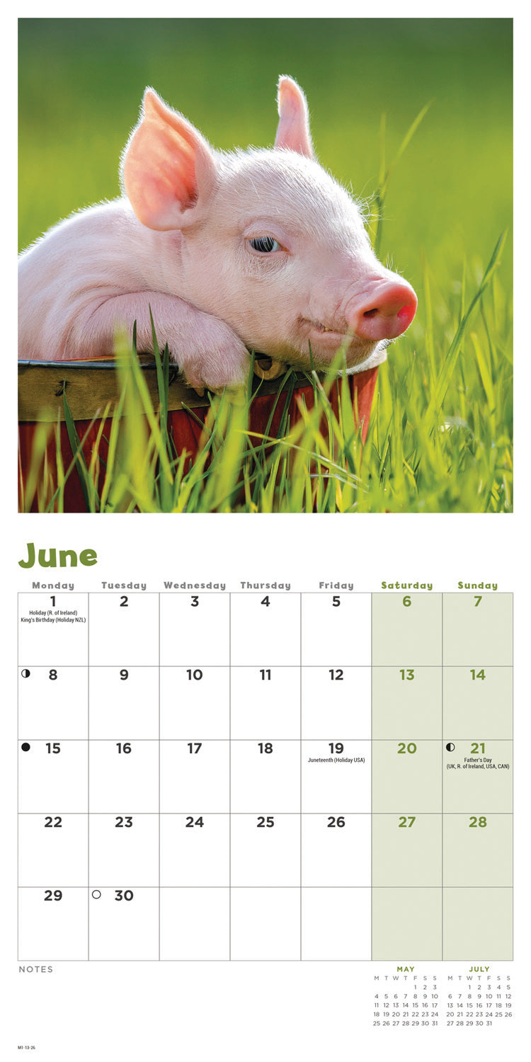 Piglets Mini Calendar 2026