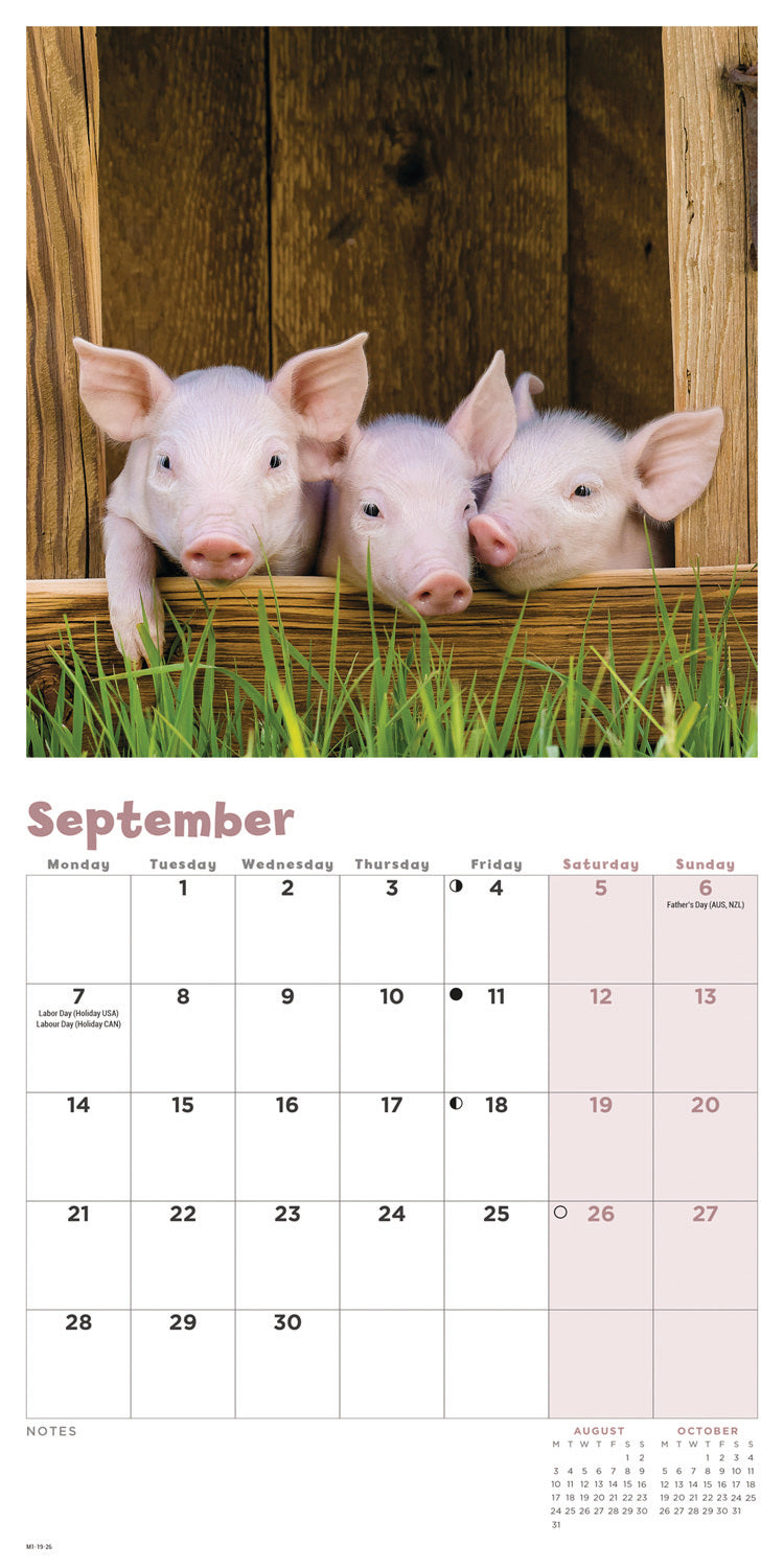 Piglets Mini Calendar 2026