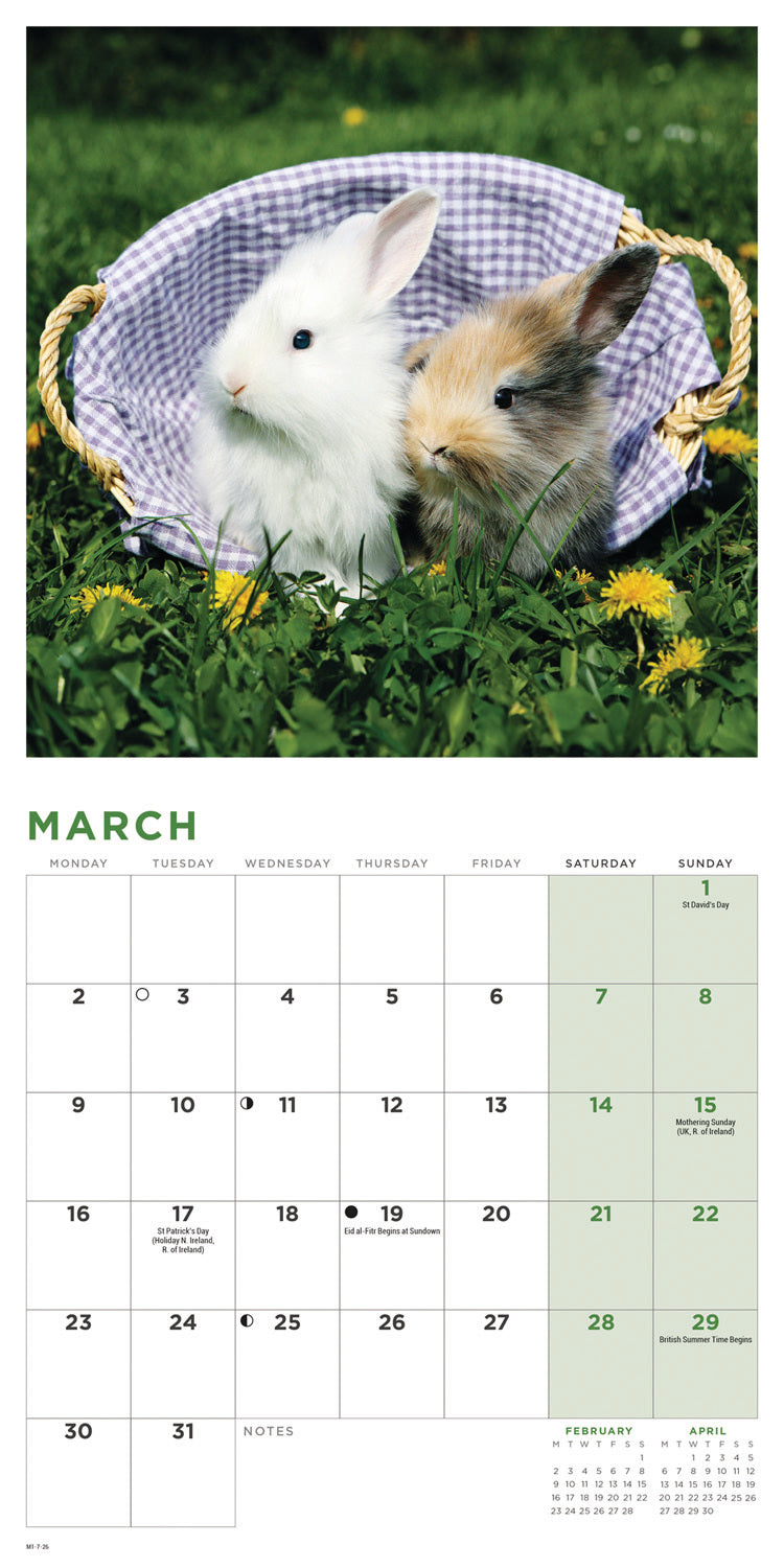 Bunnies Mini Calendar 2026