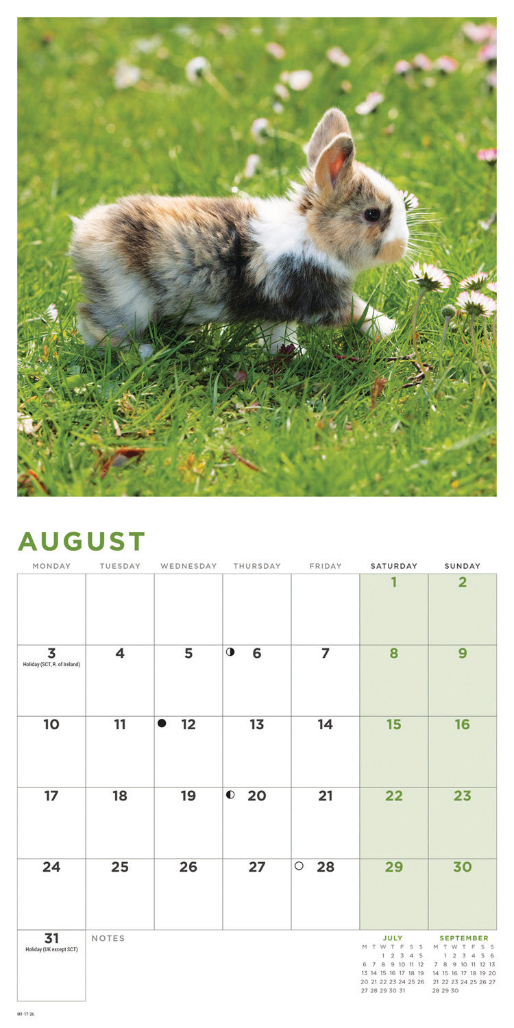 Bunnies Mini Calendar 2026