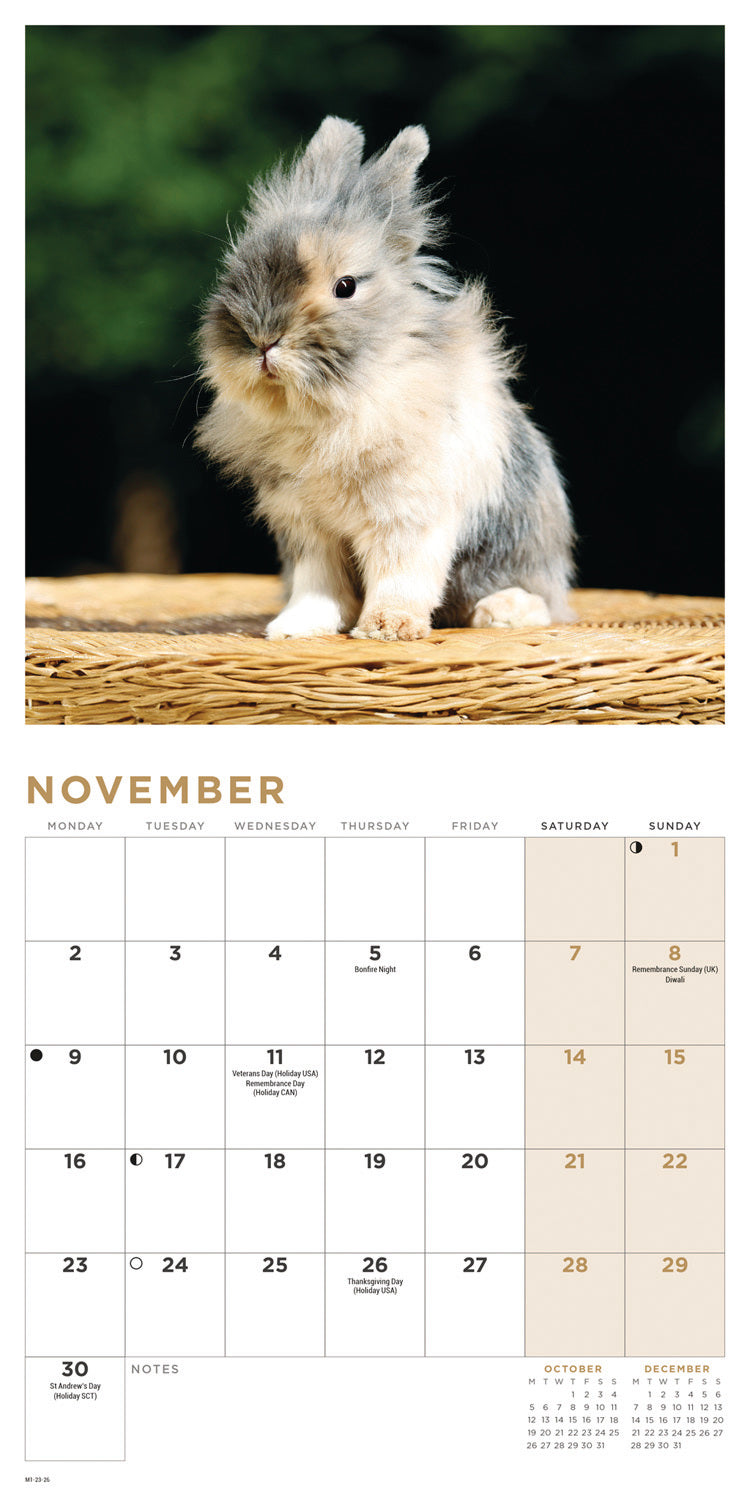 Bunnies Mini Calendar 2026