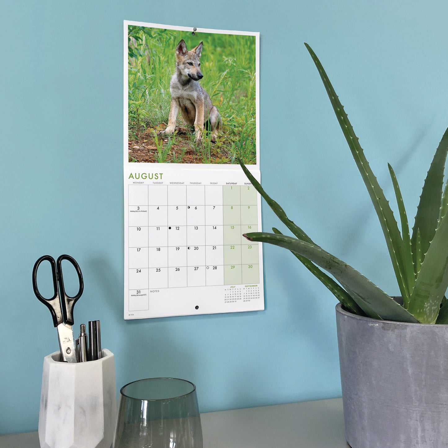 Wolves Mini Calendar 2026