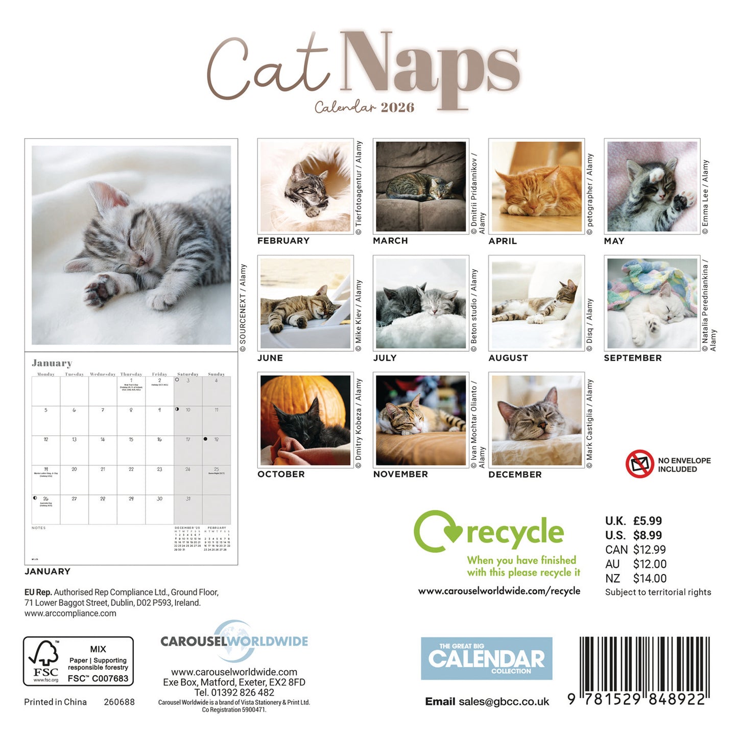 Cat Naps Mini Calendar 2026