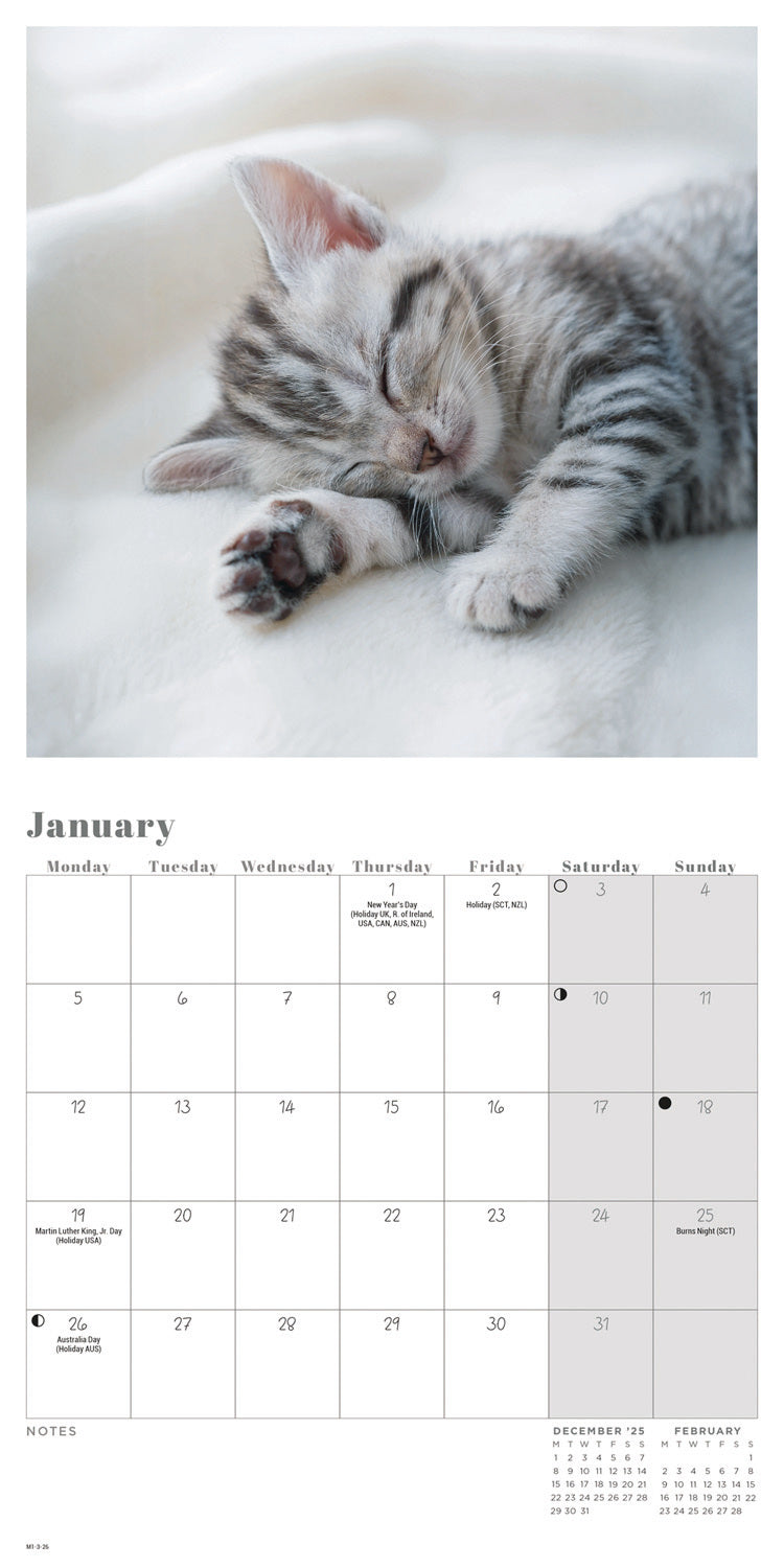 Cat Naps Mini Calendar 2026