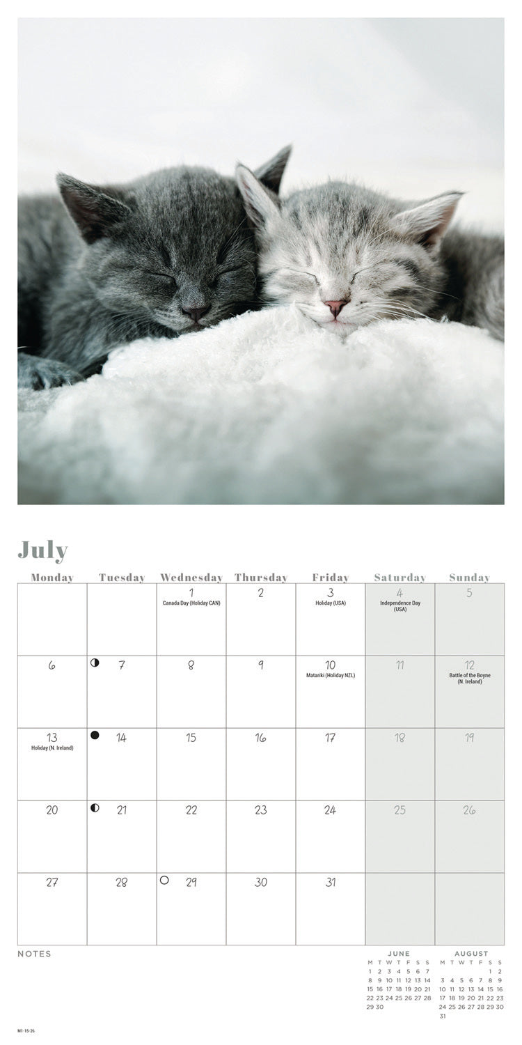 Cat Naps Mini Calendar 2026