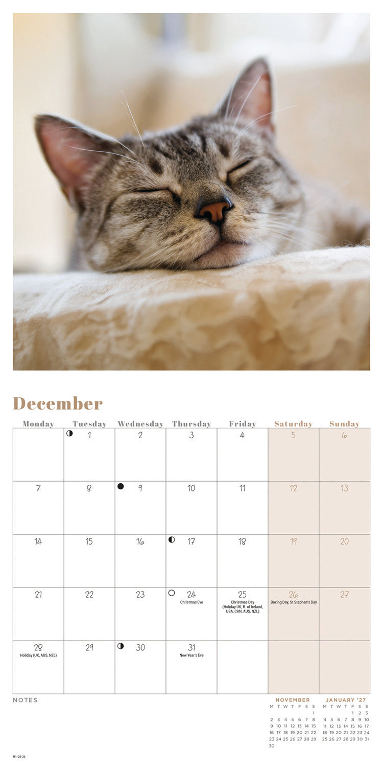 Cat Naps Mini Calendar 2026