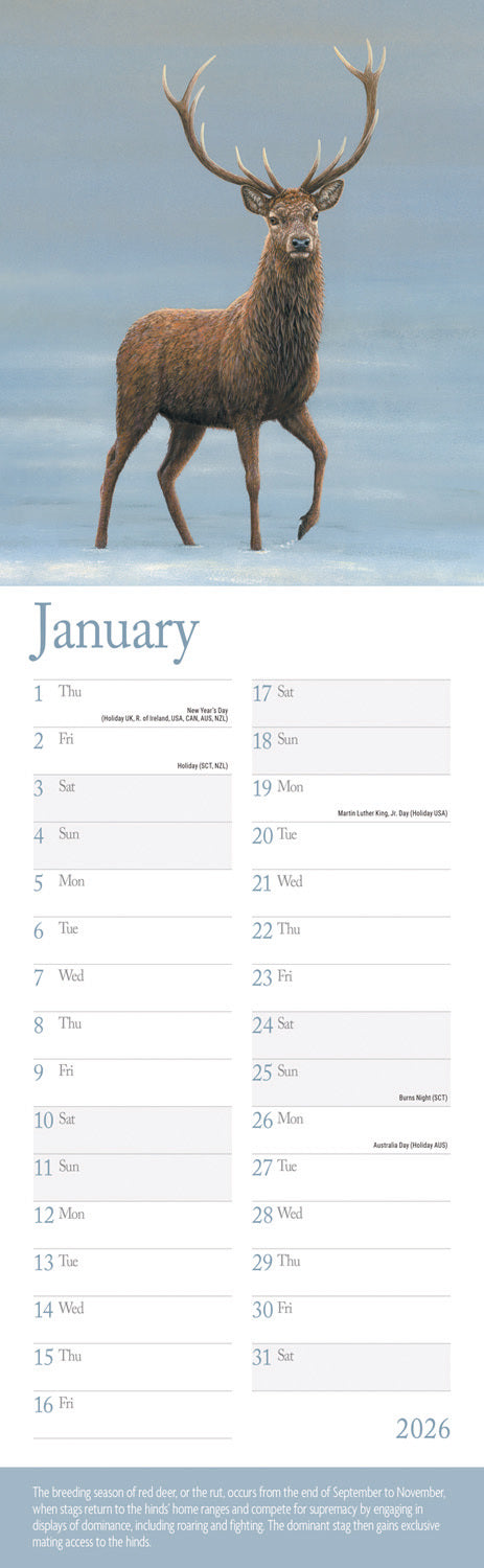 British Wildlife in Art By Robert Fuller Slim Calendar 2026