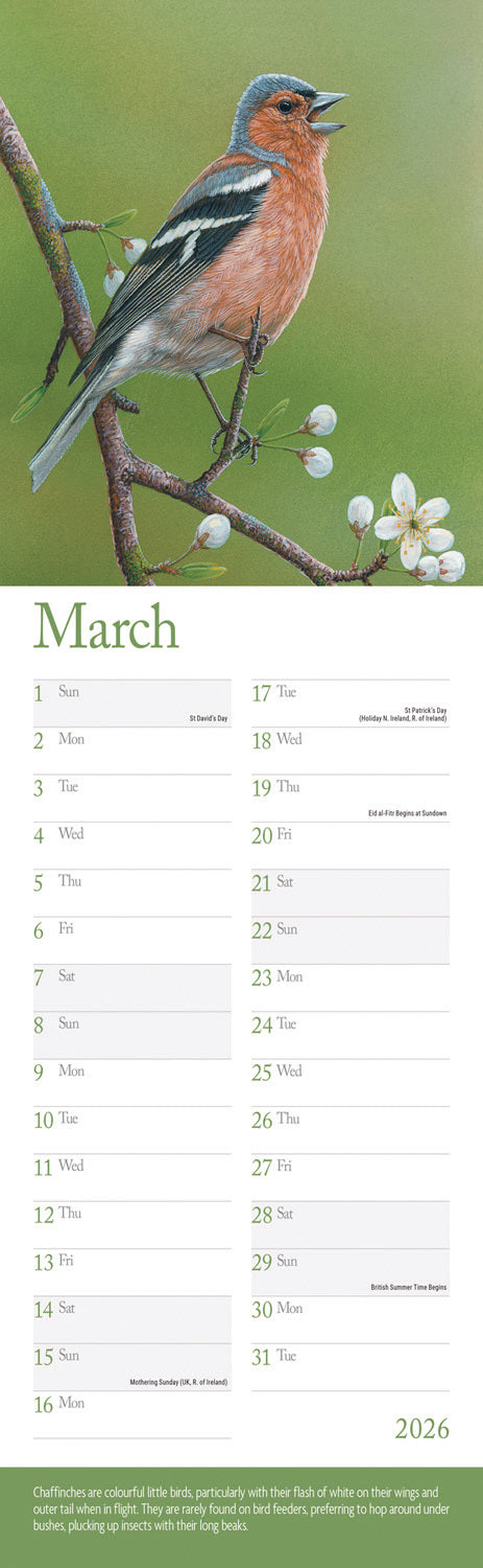 British Wildlife in Art By Robert Fuller Slim Calendar 2026